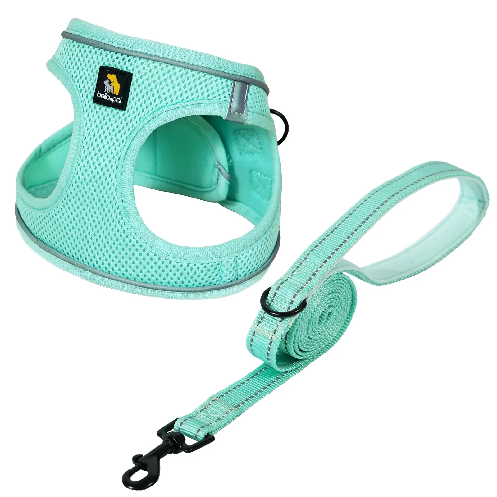 BELLA & PAL Pettorina Cane Taglia Piccola, Pettorine per Cuccioli con Guinzaglio, Step In Riflettente in Air Mesh Morbida e Traspirante, Imbracatura per Cani Poccoli, Menta, M - immagine 1