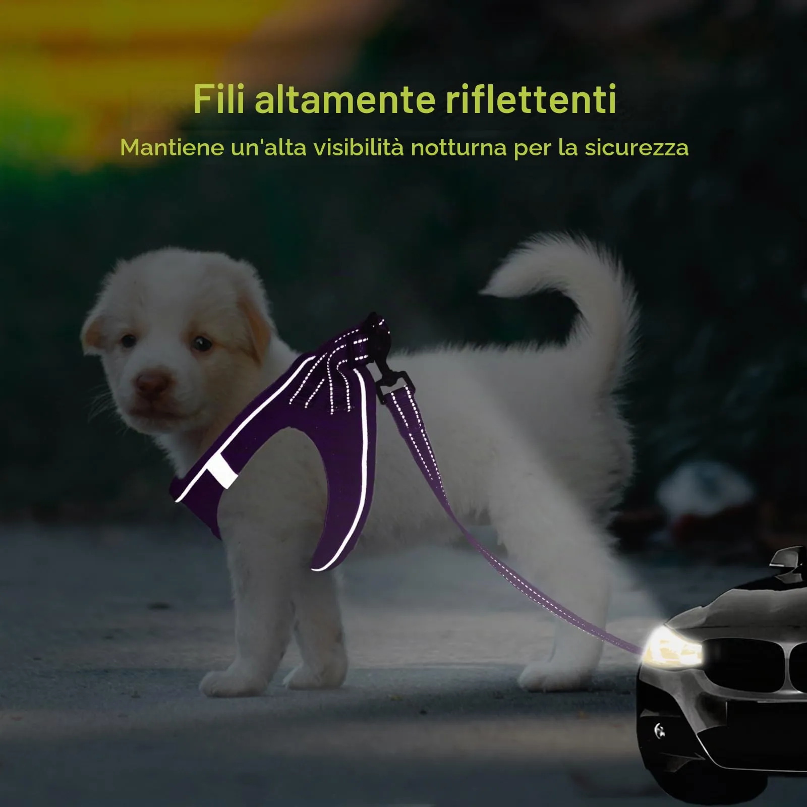 BELLA & PAL Pettorina Cane Taglia Piccola, Pettorine per Cuccioli con Guinzaglio, Step In Riflettente in Air Mesh Morbida e Traspirante, Imbracatura per Cani Poccoli, Viola, XXS - immagine 4