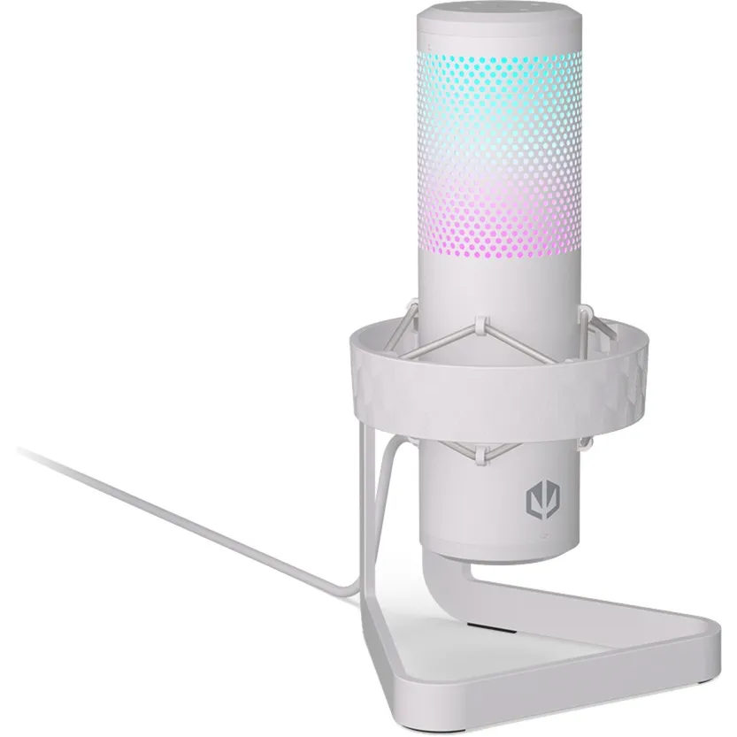 AXIS Streaming, Microfono - immagine 1