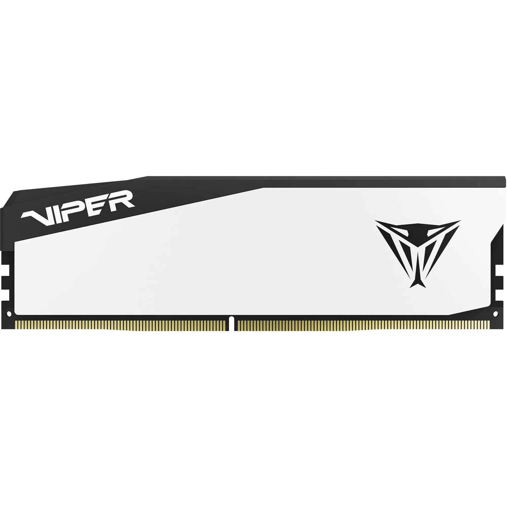 DIMM 16 GB DDR5-6000, Memoria - immagine 1