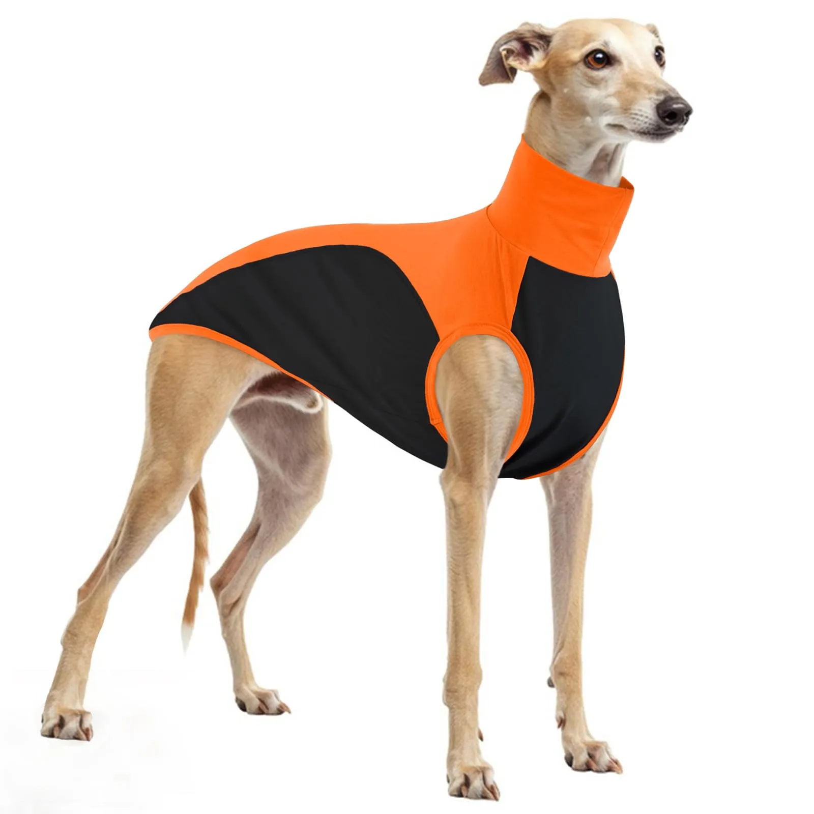 Maglitta Levrieri, Lurcher Maglietta Saluki Felpa Levrieri Gilet Maglietta per Cani con Protezione Solare per Attività All'aperto(Arancione, L) - immagine 1