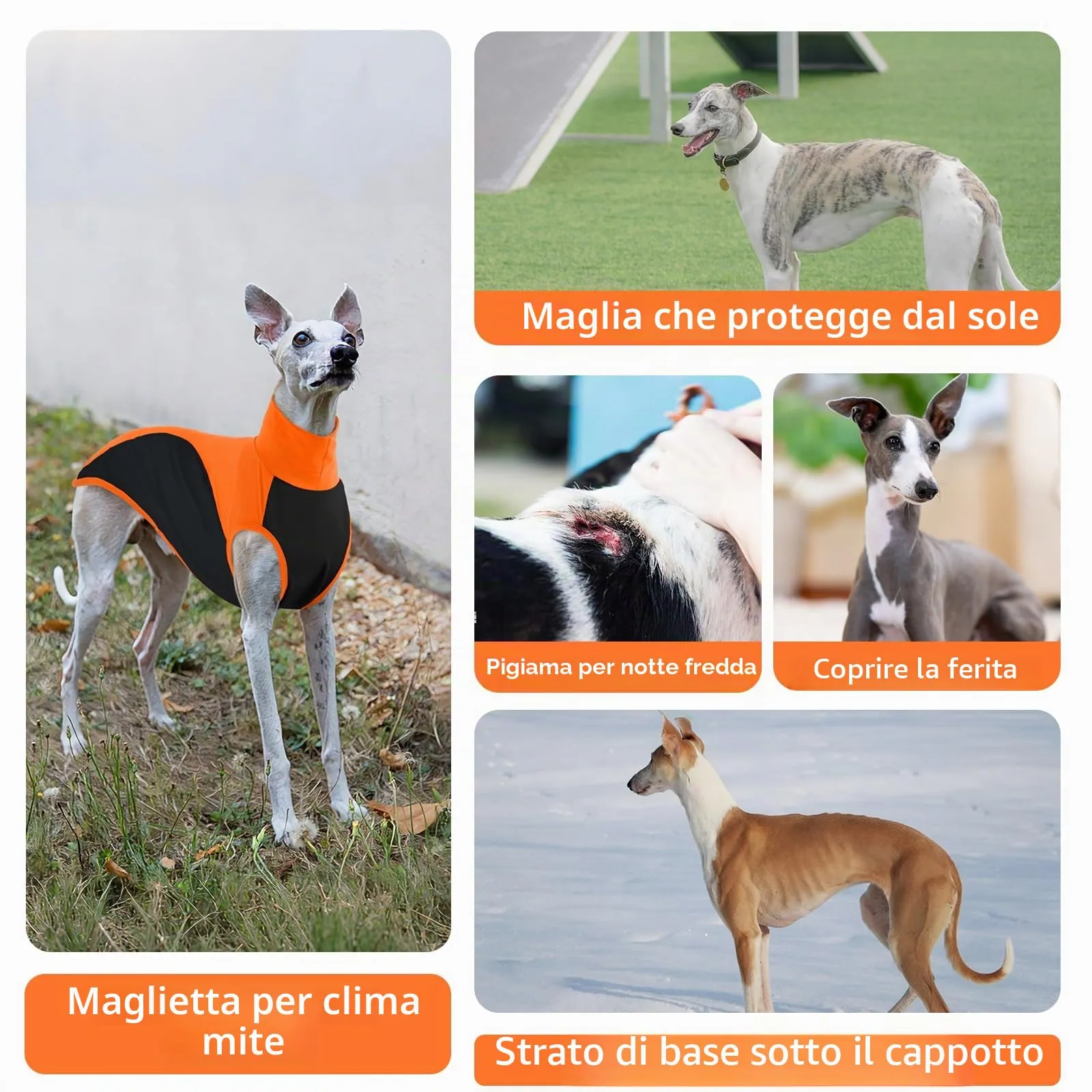 Maglitta Levrieri, Lurcher Maglietta Saluki Felpa Levrieri Gilet Maglietta per Cani con Protezione Solare per Attività All'aperto(Arancione, L) - immagine 6