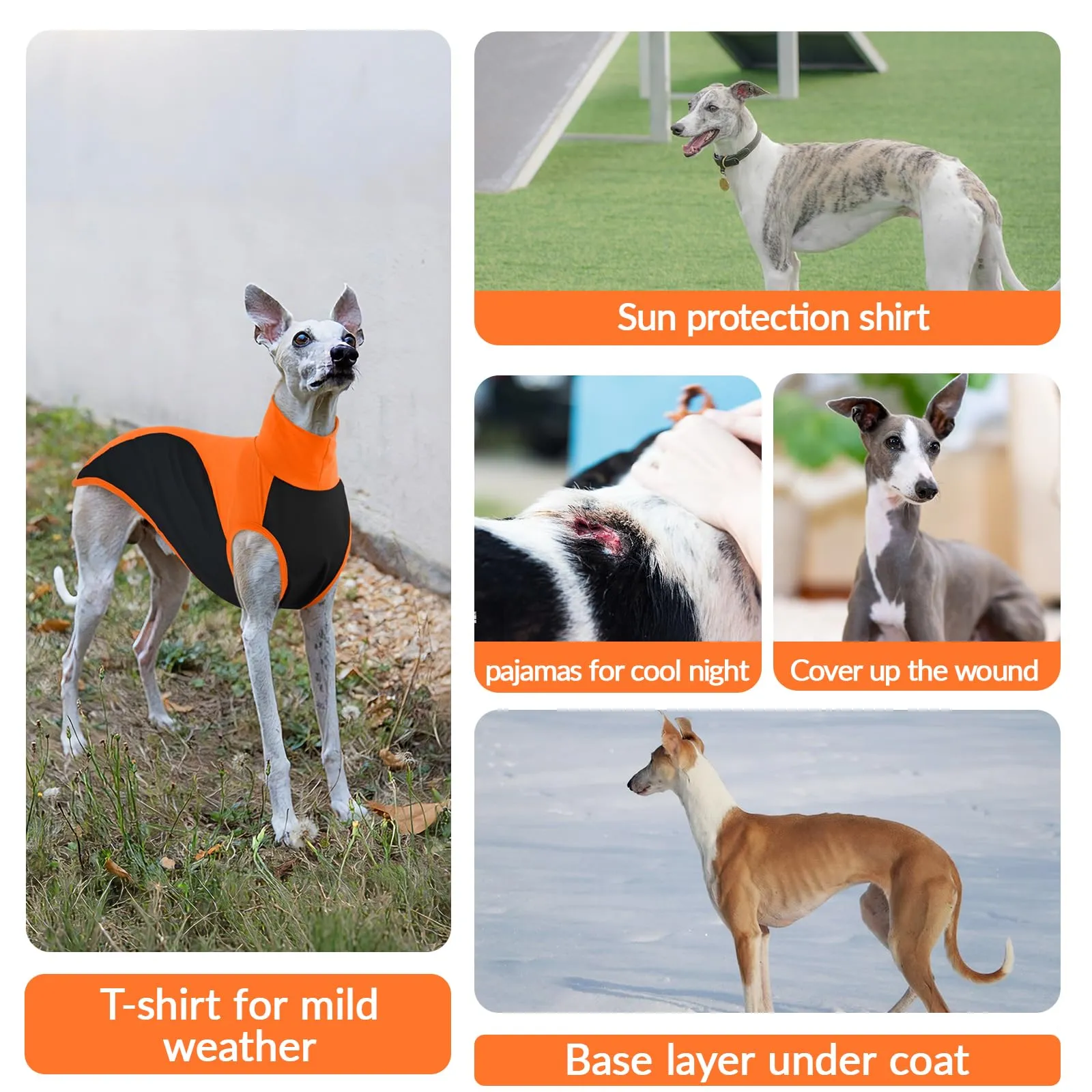 Maglitta Levrieri Italiani, Morbido Felpa Whippet Vestito Whippet Gilet Sottile Abbigliamento per Levrieri Italiani Magliette Parasole(Arancione, XS) - immagine 6