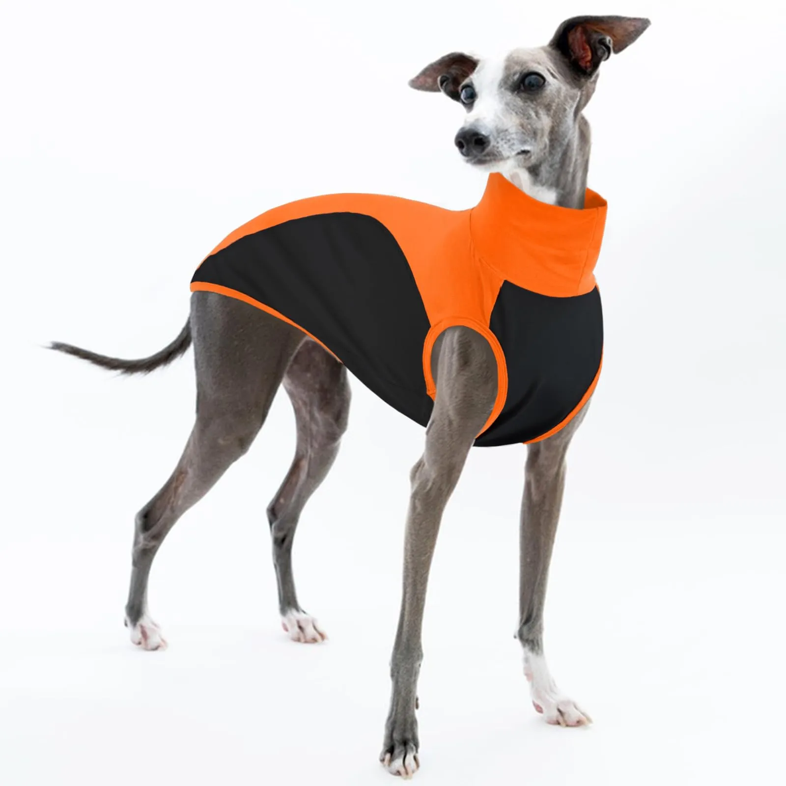 Maglitta Levrieri Italiani, Morbido Felpa Whippet Vestito Whippet Gilet Sottile Abbigliamento per Levrieri Italiani Magliette Parasole(Arancione, S) - immagine 1