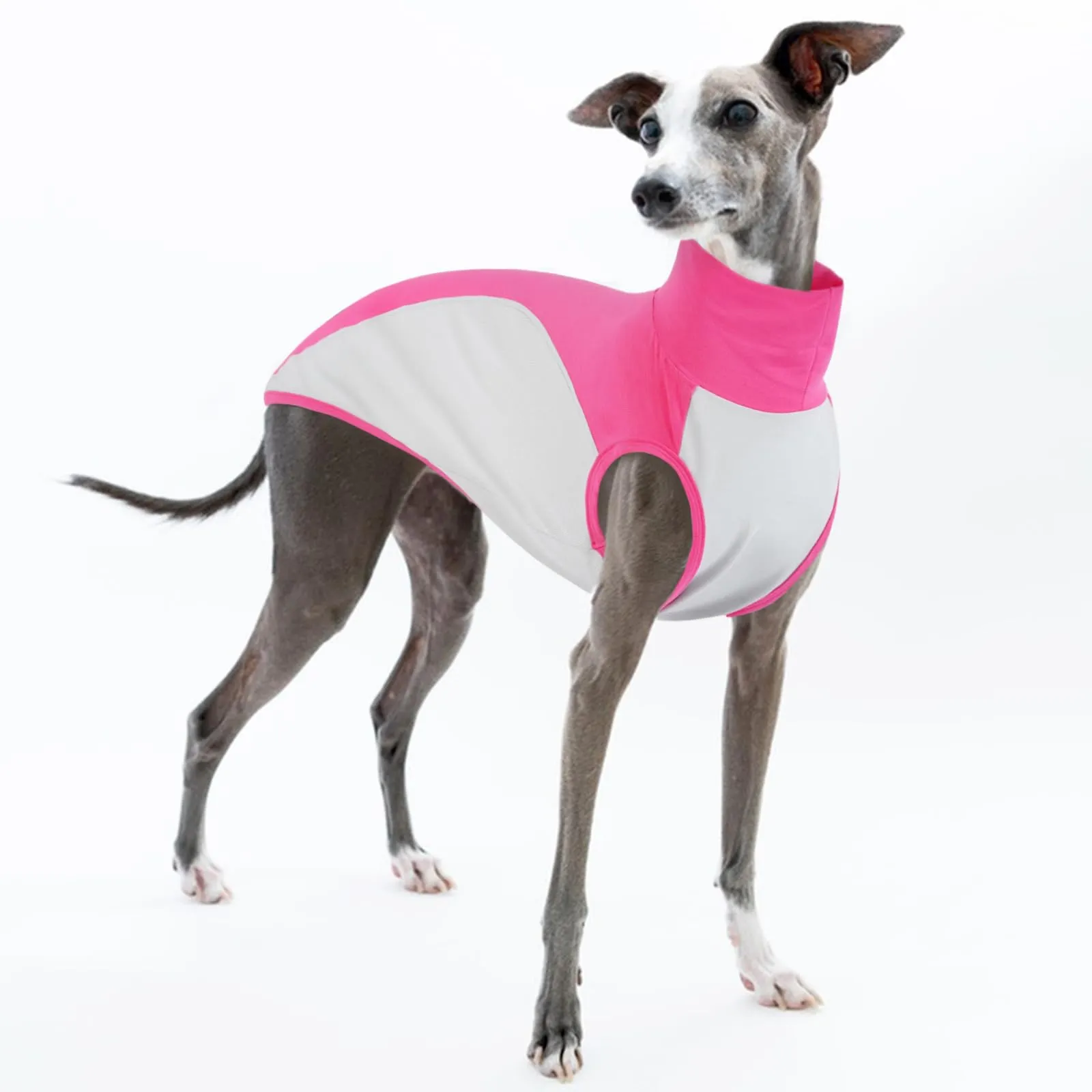 Maglitta Levrieri Italiani, Morbido Felpa Whippet Vestito Whippet Gilet Sottile Abbigliamento per Levrieri Italiani Magliette Parasole(Rosa, S) - immagine 1