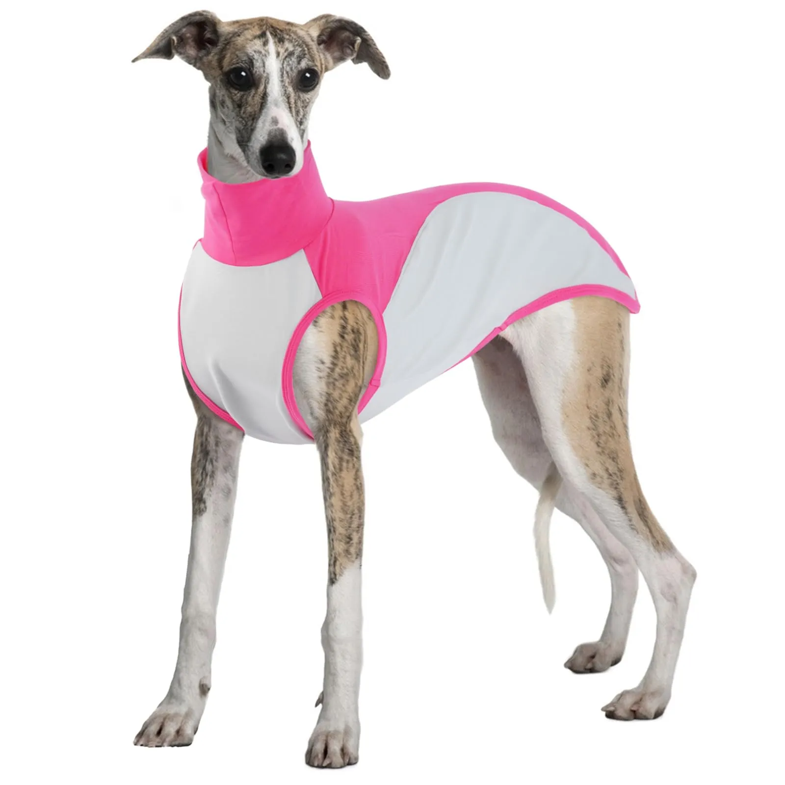 Leggero Maglietta Levrieri, Tuta di Recupero per Coprire Ferite Gilet Cotone Cani per Protezione delle Incisioni dopo L'intervento Chirurgico(Rosa, XL) - immagine 1