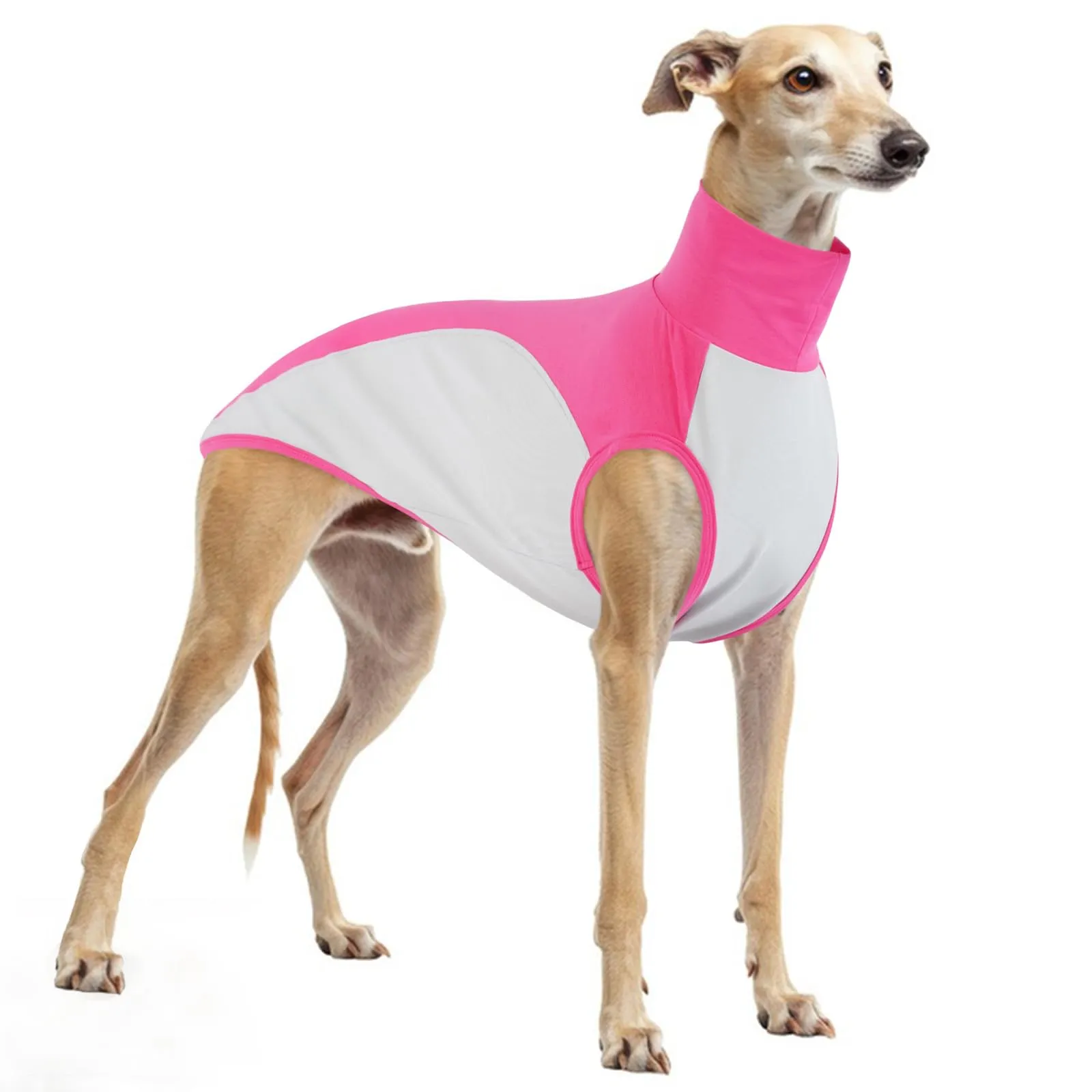 Maglitta Levrieri, Lurcher Maglietta Saluki Felpa Levrieri Gilet Maglietta per Cani con Protezione Solare per Attività All'aperto(Rosa, L) - immagine 1