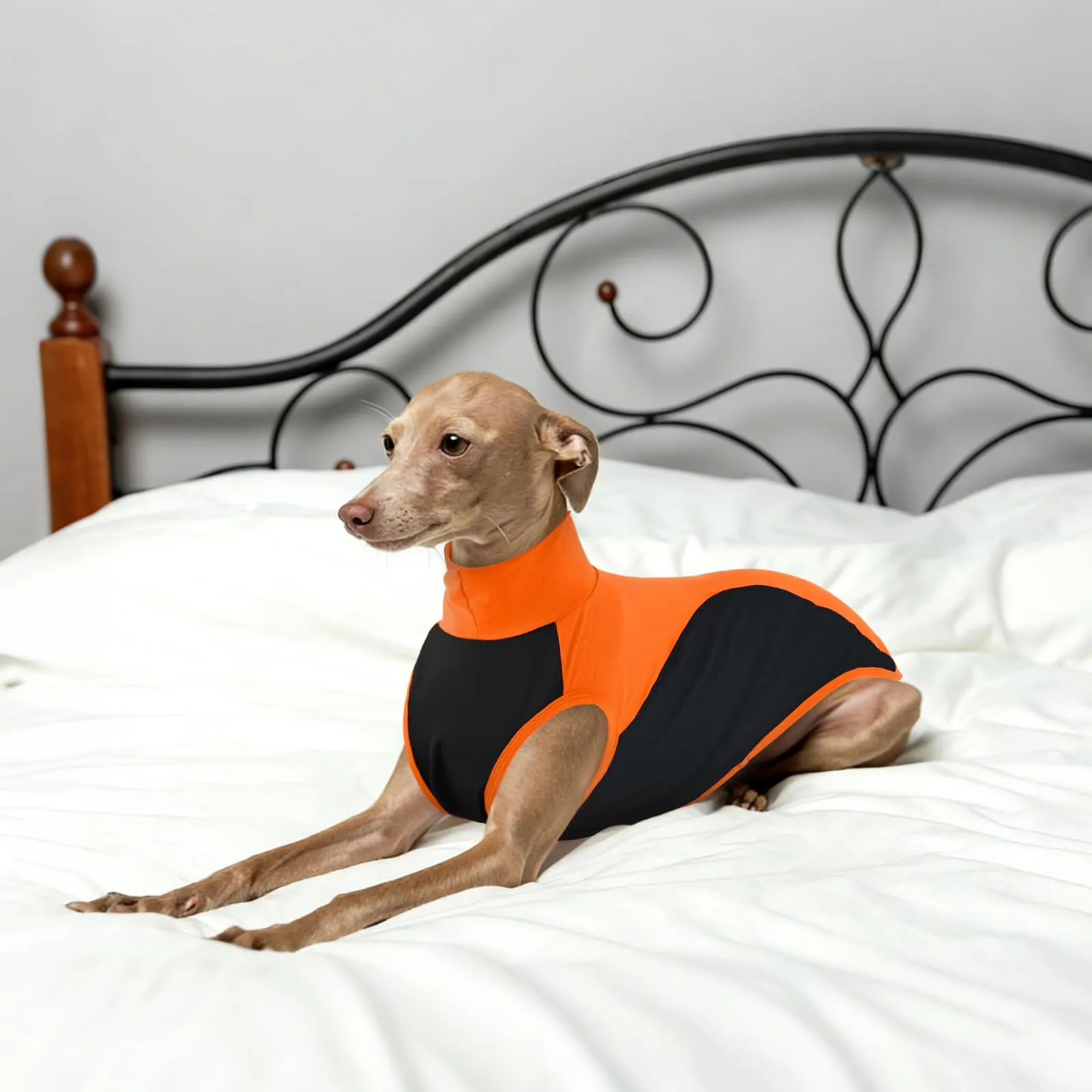 Maglietta per Whippet, Cotone Felpa Levrieri Italiani Camicia Whippet Traspirante Canotta Gilet Sportivo Senza Maniche Leggero Vestito Levrieri Italiani Felpa Elastico per Clima Mite(Arancione, M) - immagine 7