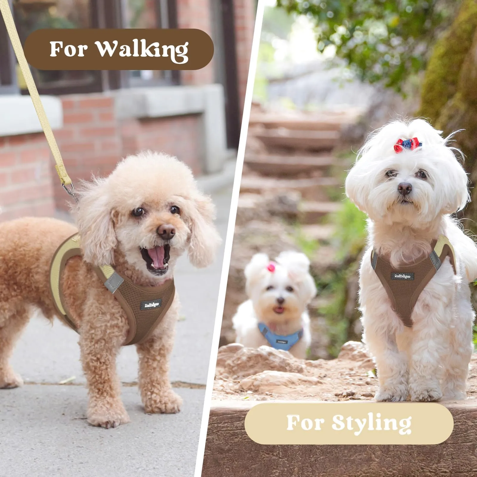 rabbitgoo Pettorina Cane Taglia Piccola, Leggero, Marrone e Beige M - immagine 9
