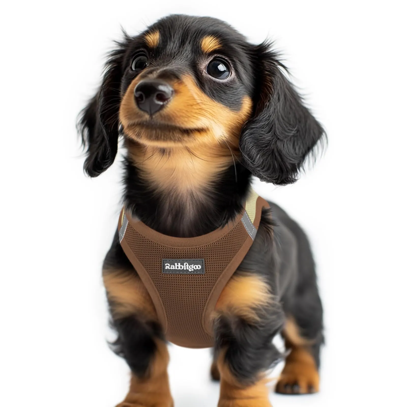 rabbitgoo Pettorina Cane Taglia Piccola, Leggero, Marrone e Beige XXS - immagine 1