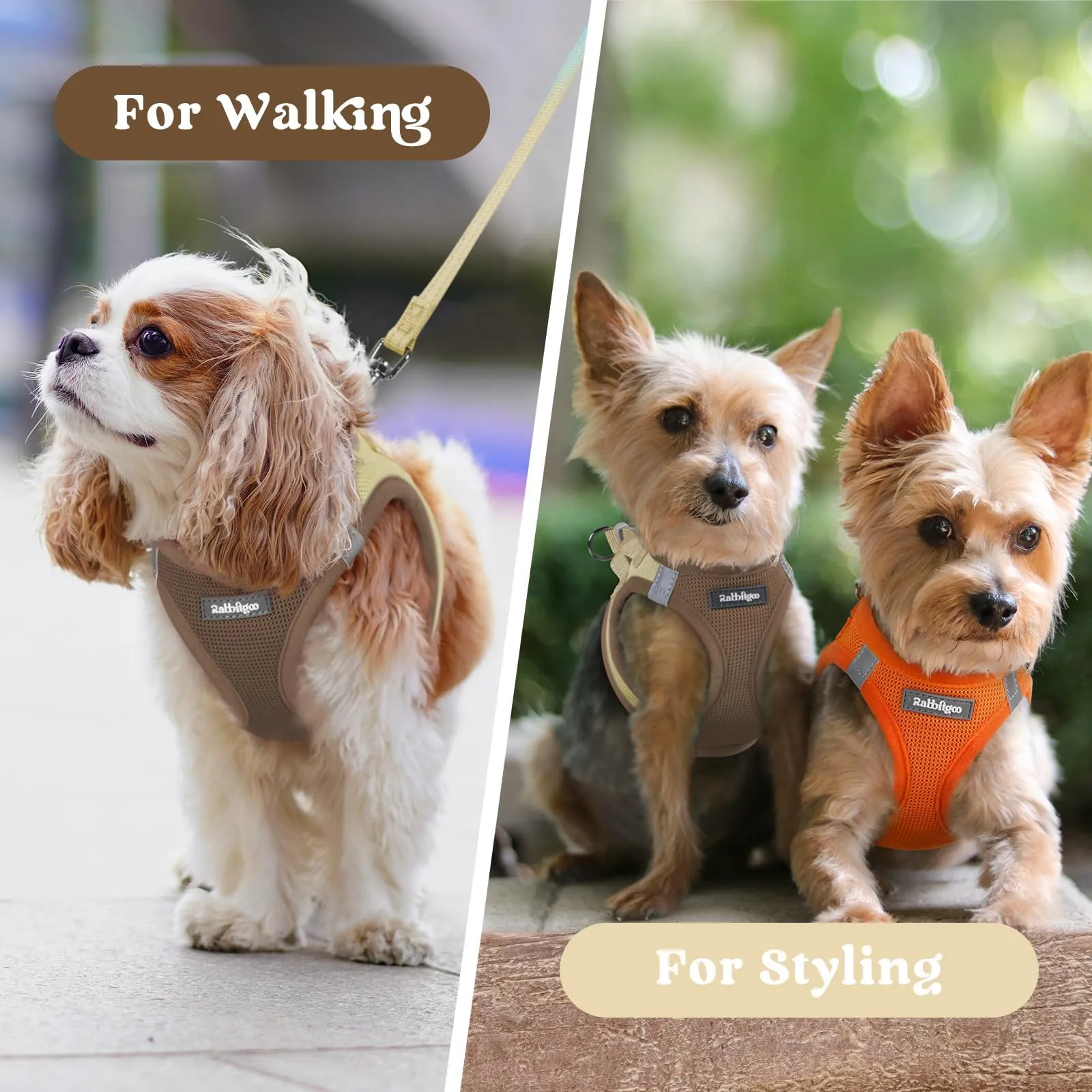 rabbitgoo Pettorina Cane Taglia Piccola, Leggero, Marrone e Beige S - immagine 8