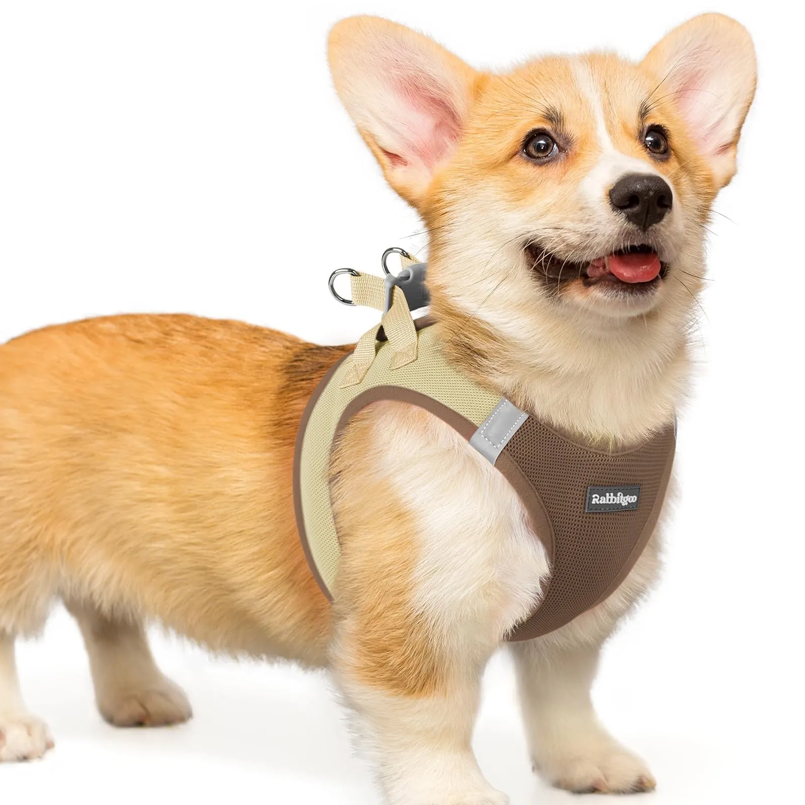 rabbitgoo Pettorina Cane Taglia Piccola, Leggero, Marrone e Beige L - immagine 1