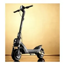 Monopattino elettrico (46V 500W; ruota 10") Grigio e Oro NT5 ULTRA X - immagine 1