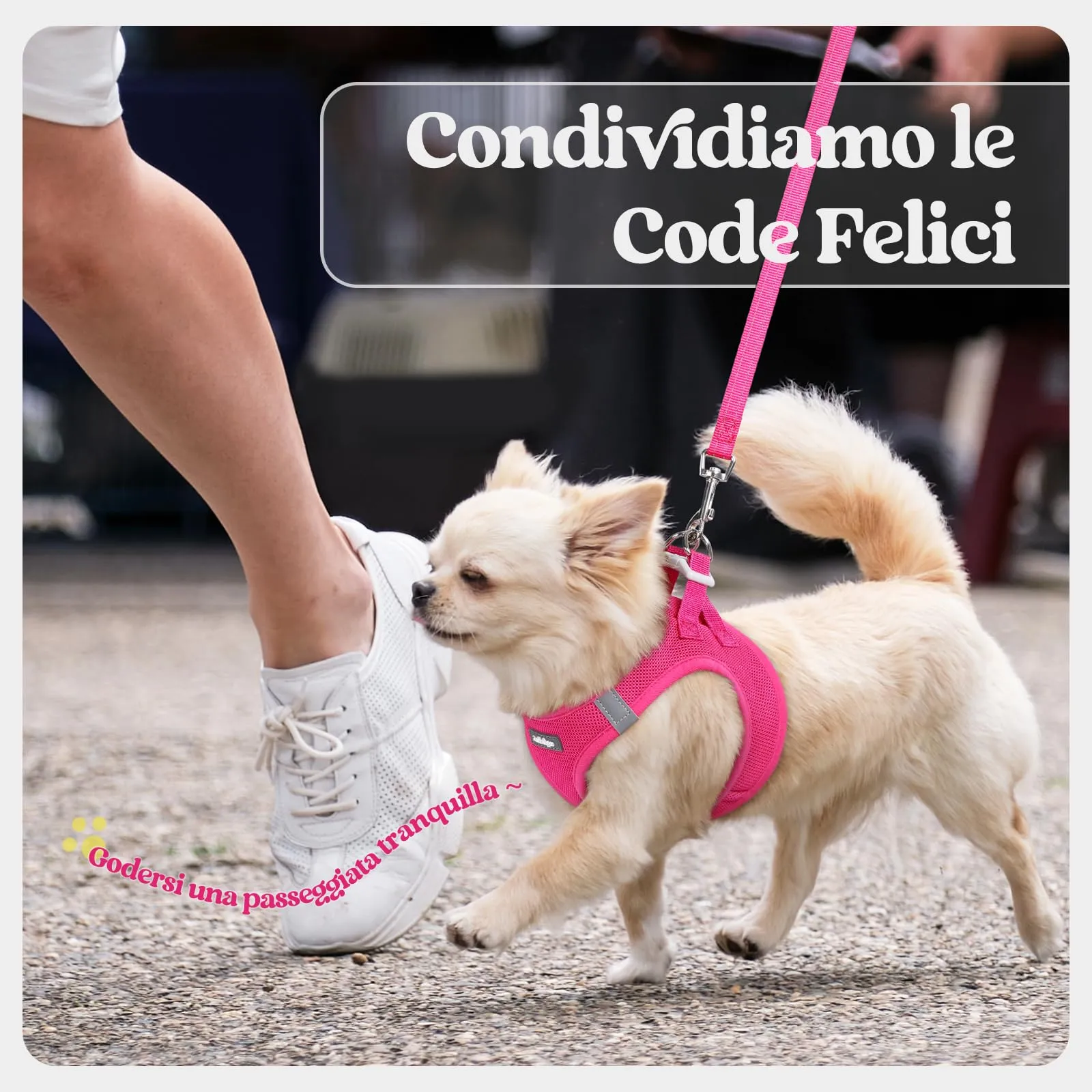 rabbitgoo Pettorina Cane Taglia Piccola con Guinzaglio, Rosa Rossa M - immagine 9