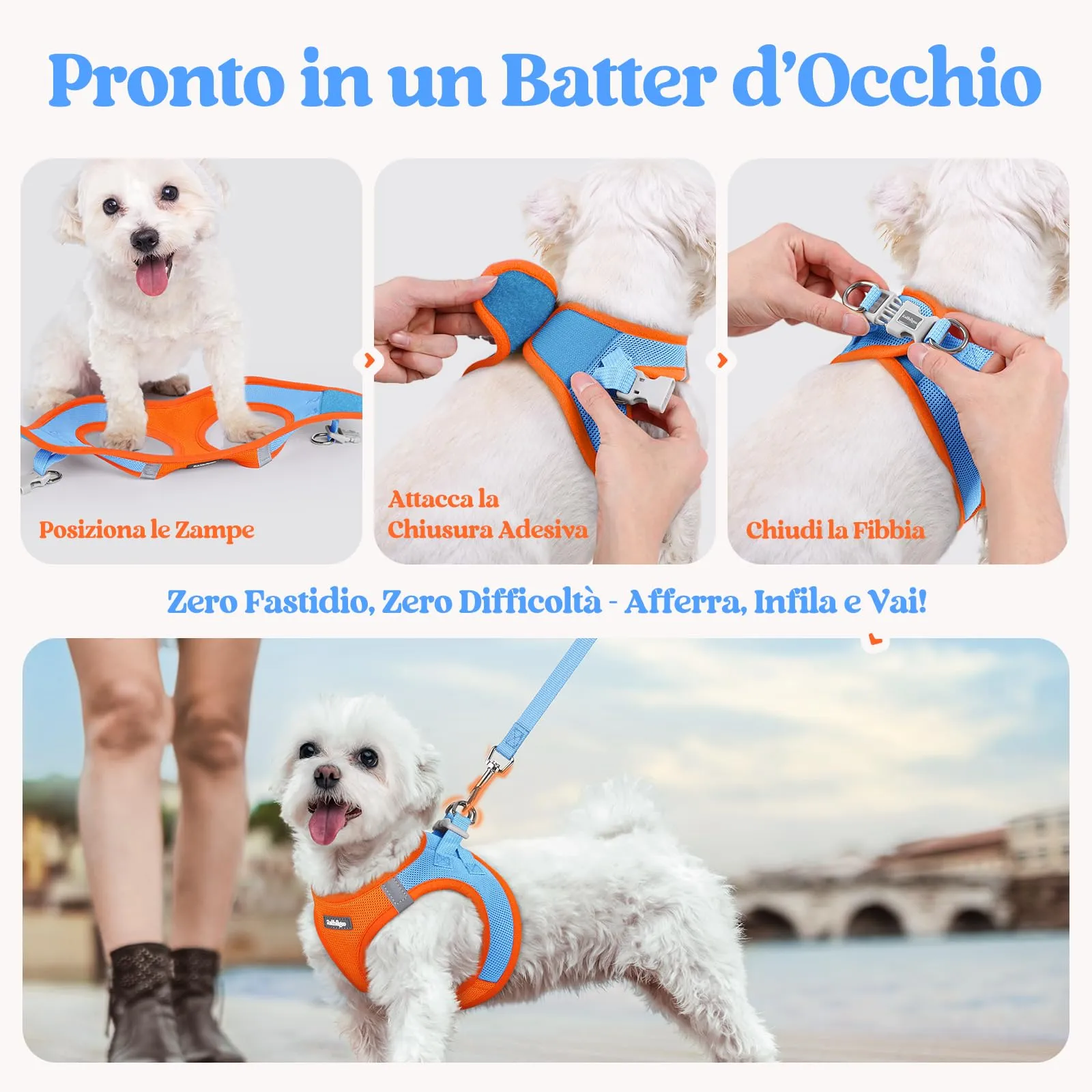 rabbitgoo Pettorina Cane Taglia Piccola con Guinzaglio, Azzuro Arancione M - immagine 8