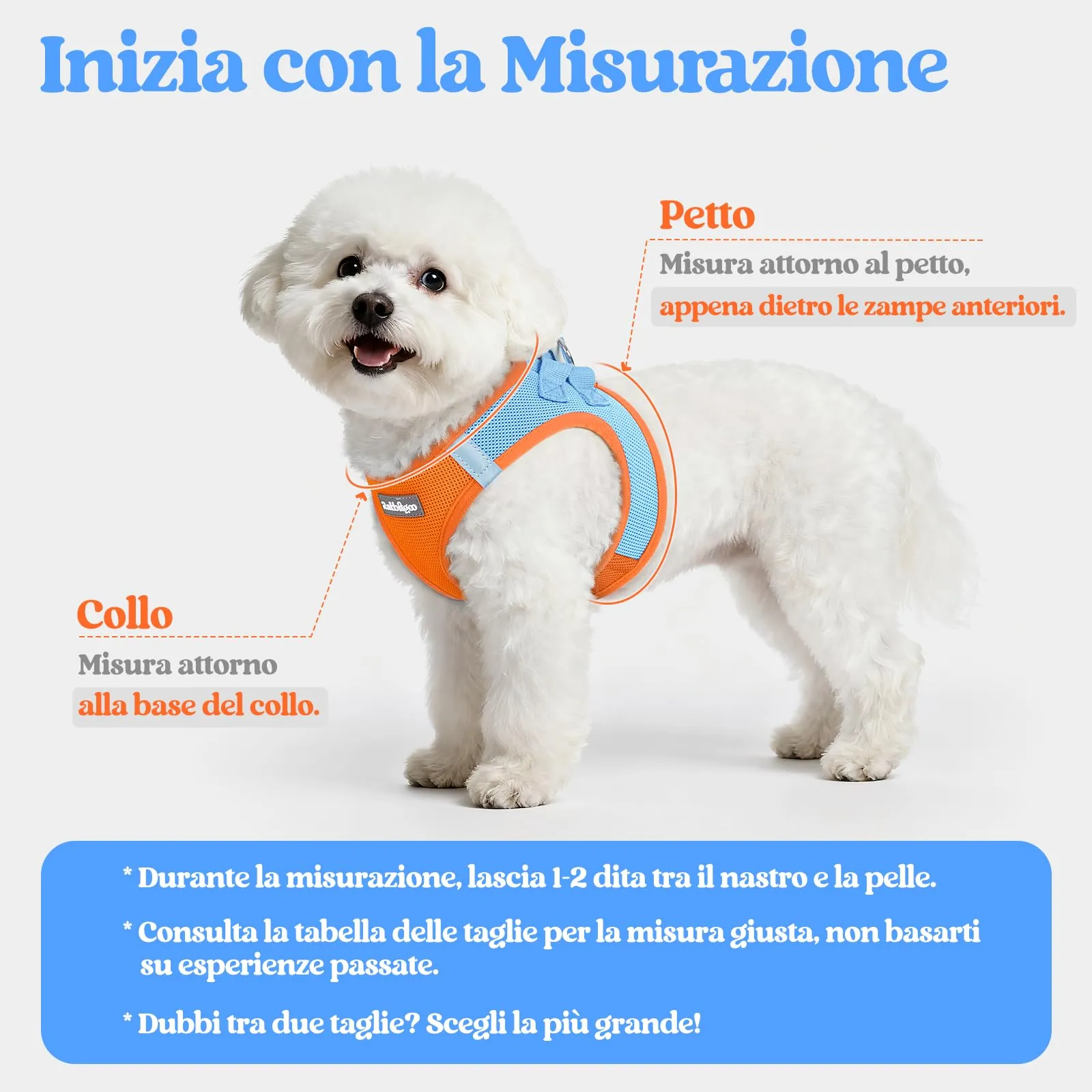 rabbitgoo Pettorina Cane Taglia Piccola con Guinzaglio, Azzuro Arancione XS - immagine 2