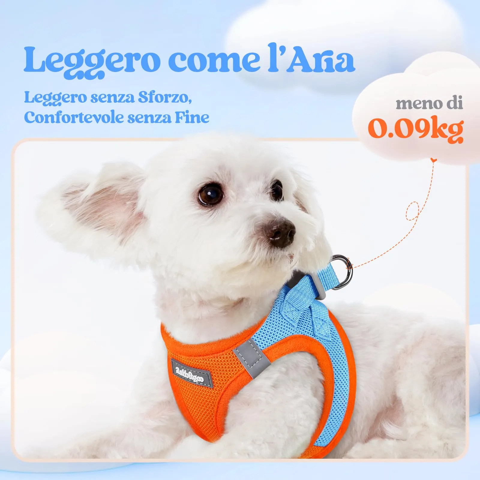 rabbitgoo Pettorina Cane Taglia Piccola con Guinzaglio, Azzuro Arancione XS - immagine 3