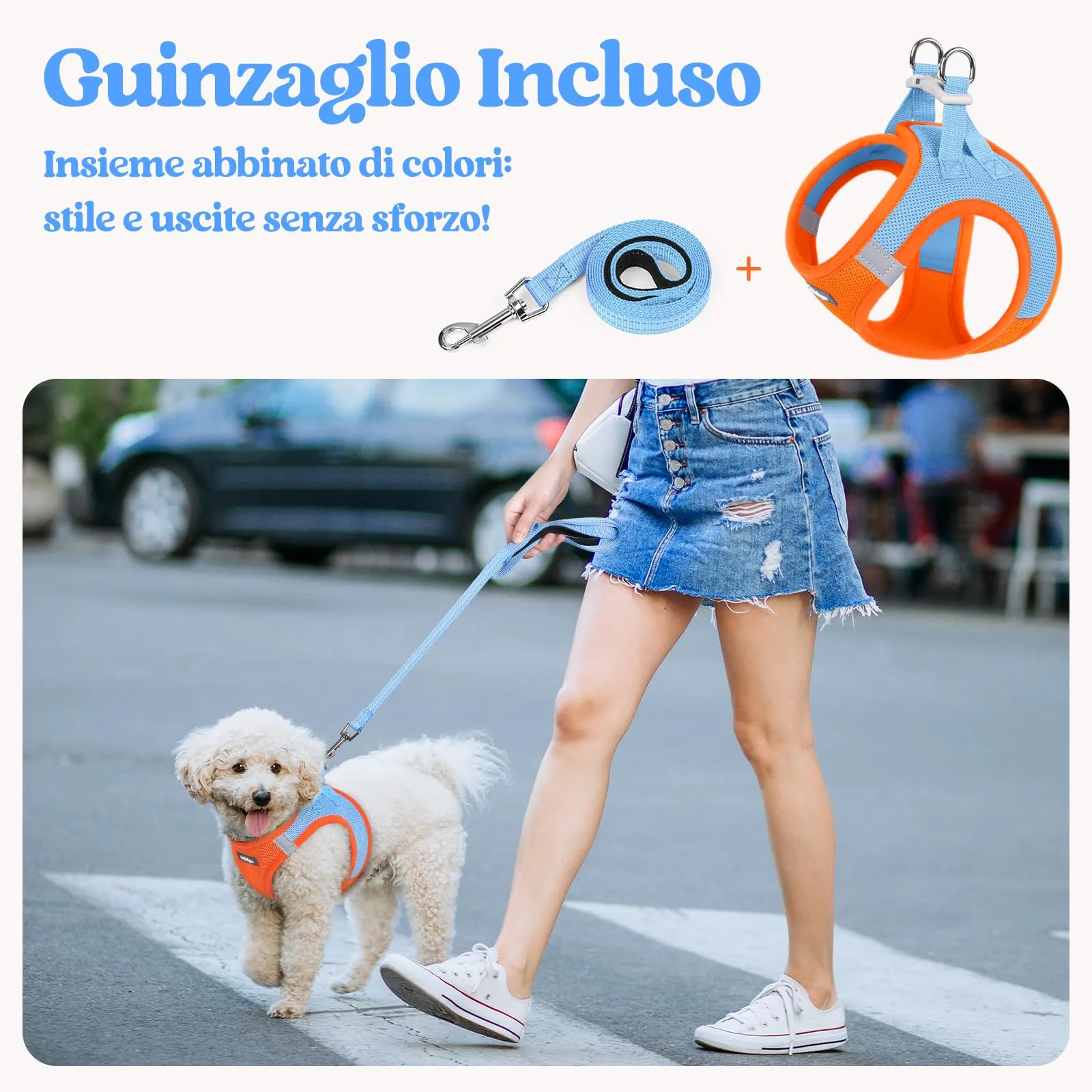 rabbitgoo Pettorina Cane Taglia Piccola con Guinzaglio, Azzuro Arancione XS - immagine 6