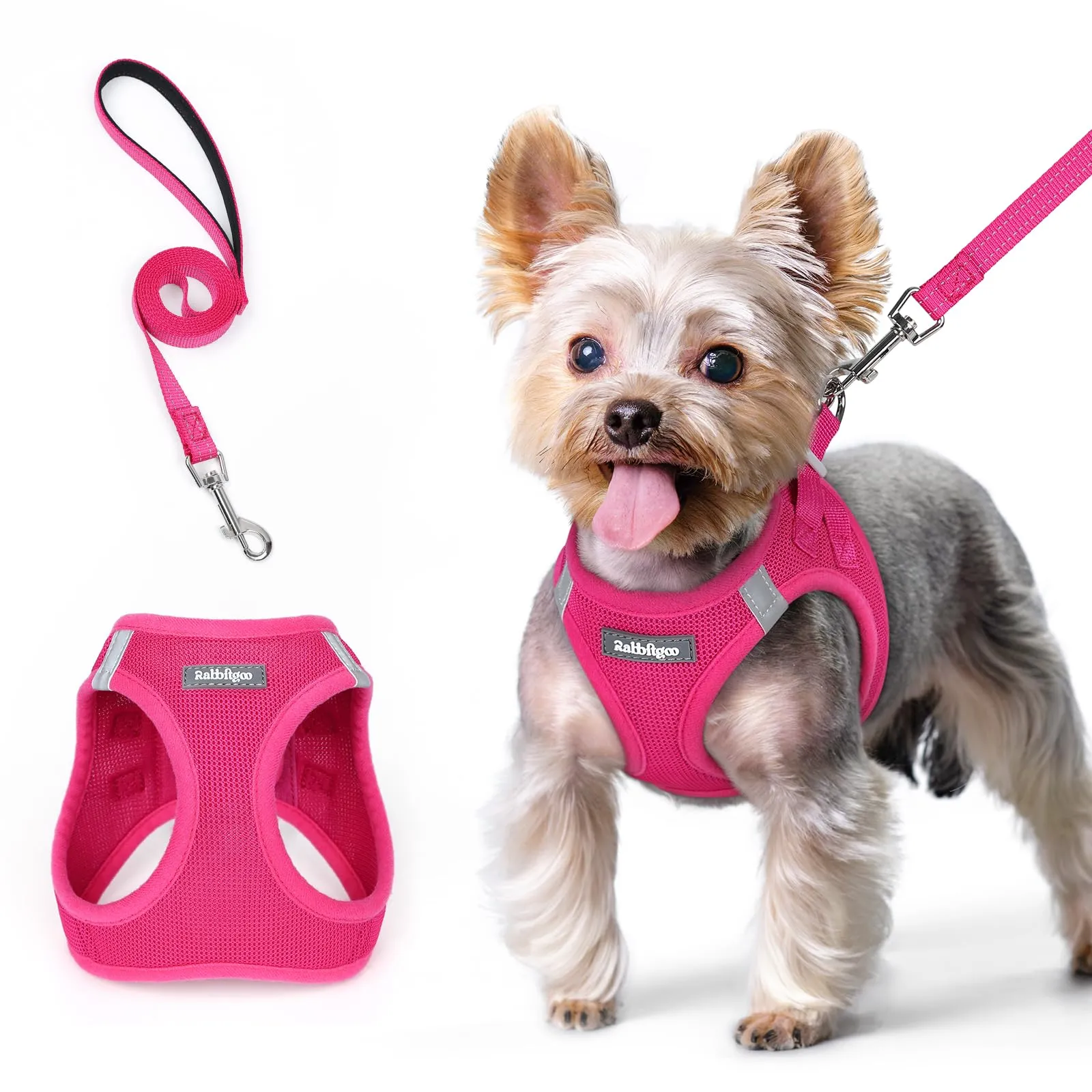 rabbitgoo Pettorina Cane Taglia Piccola con Guinzaglio, Rosa Rossa XS - immagine 1