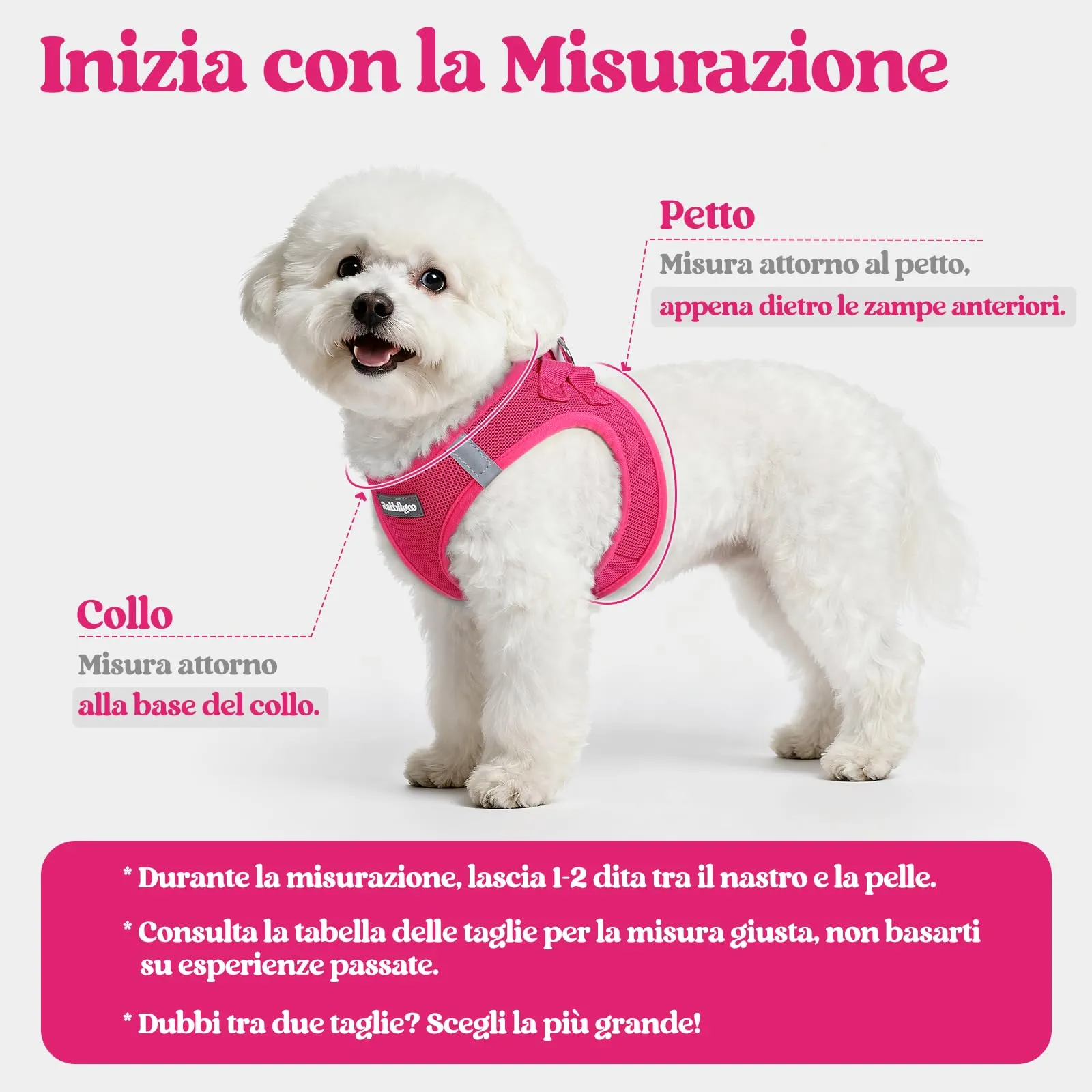 rabbitgoo Pettorina Cane Taglia Piccola con Guinzaglio, Rosa Rossa XS - immagine 2