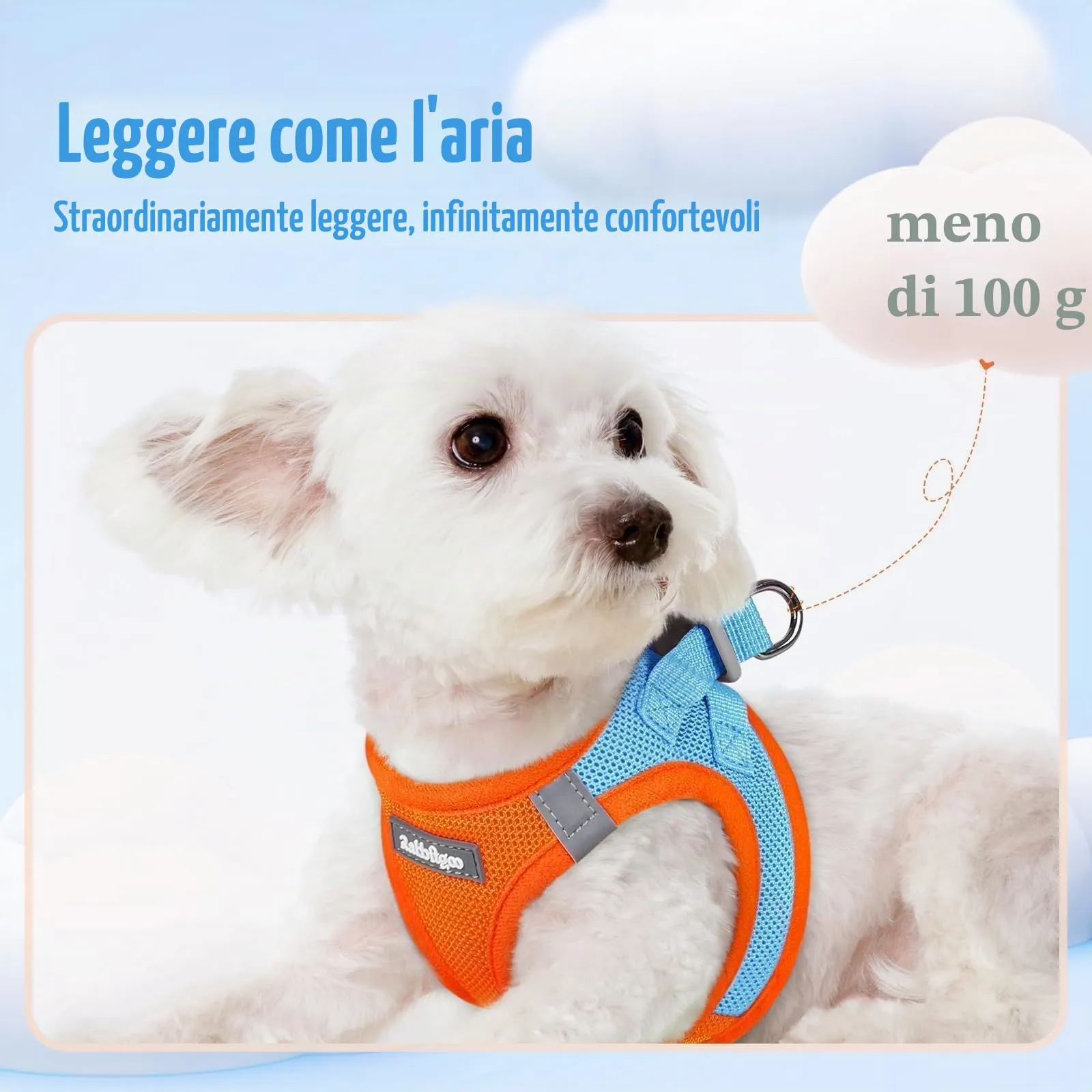 rabbitgoo Pettorina Cane Taglia Piccola con Guinzaglio, Azzuro Arancione S - immagine 3