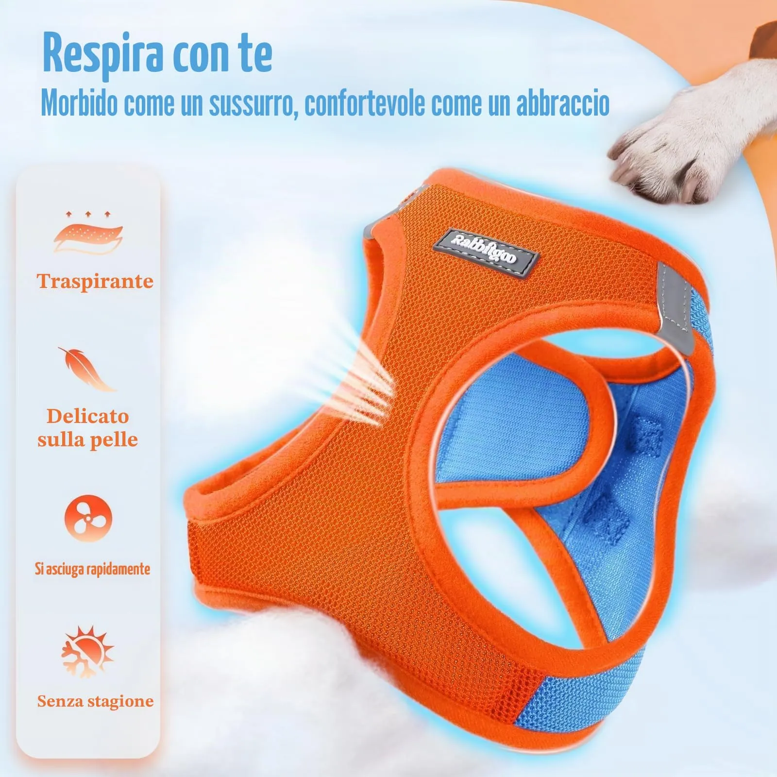 rabbitgoo Pettorina Cane Taglia Piccola con Guinzaglio, Azzuro Arancione S - immagine 4
