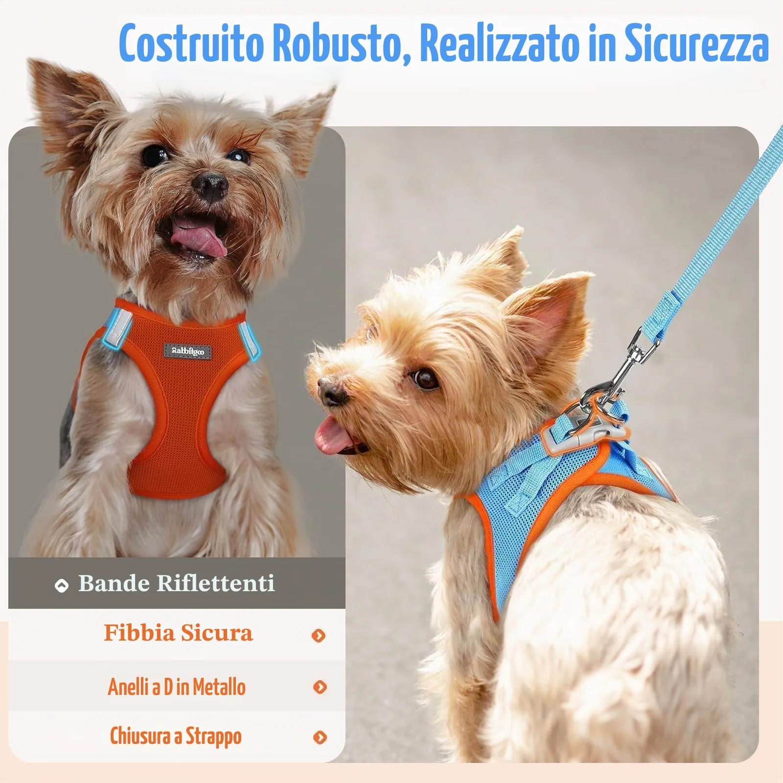 rabbitgoo Pettorina Cane Taglia Piccola con Guinzaglio, Azzuro Arancione S - immagine 5