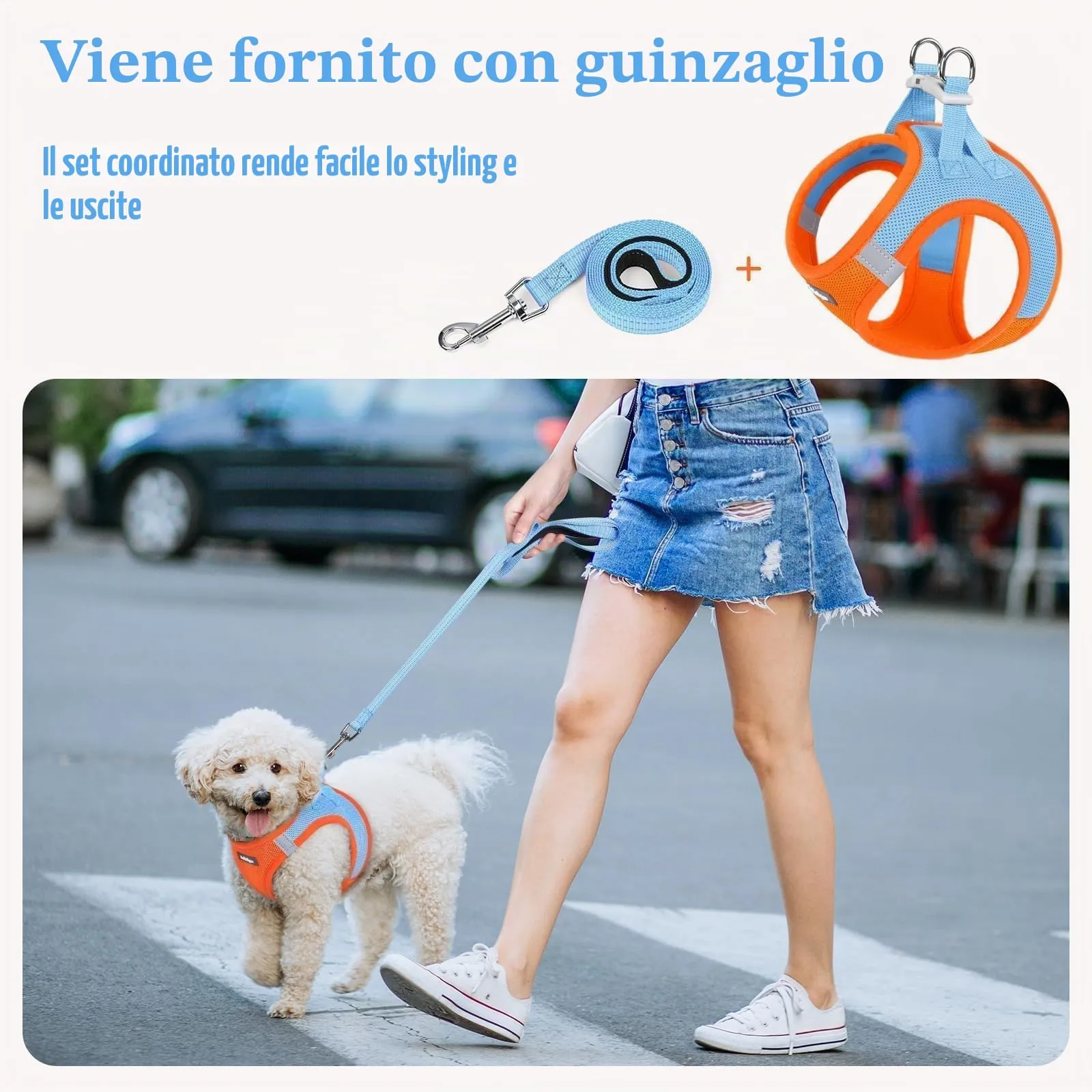 rabbitgoo Pettorina Cane Taglia Piccola con Guinzaglio, Azzuro Arancione S - immagine 6