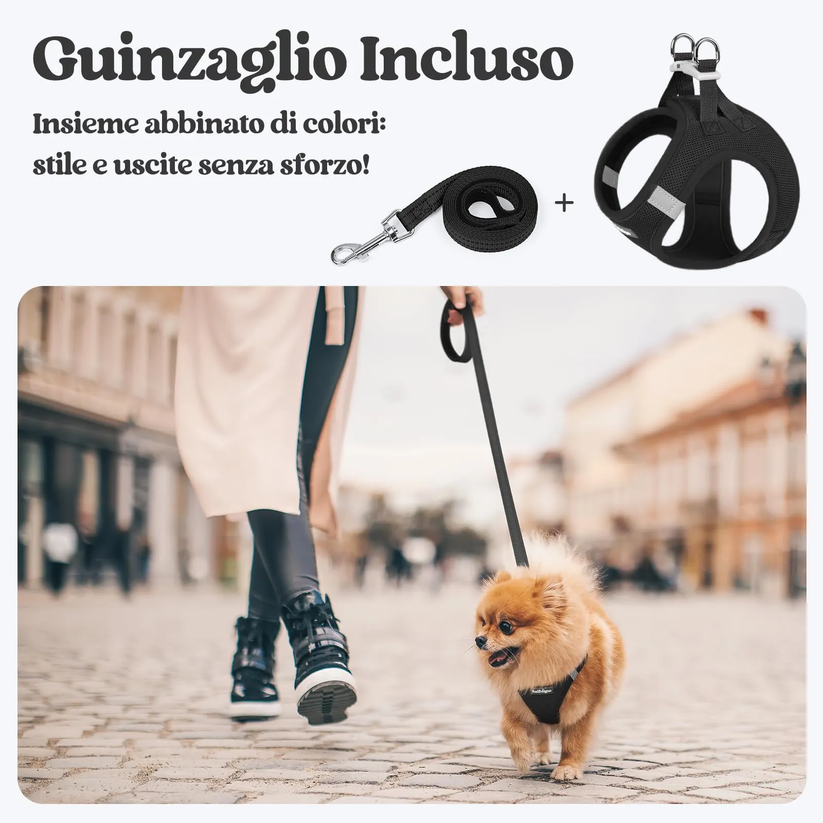 rabbitgoo Pettorina Cane Taglia Piccola con Guinzaglio, Nero XS - immagine 6