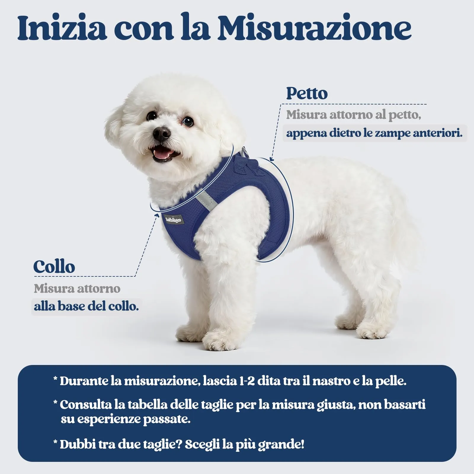 rabbitgoo Pettorina Cane Taglia Piccola con Guinzaglio, Blu Scuro S - immagine 2