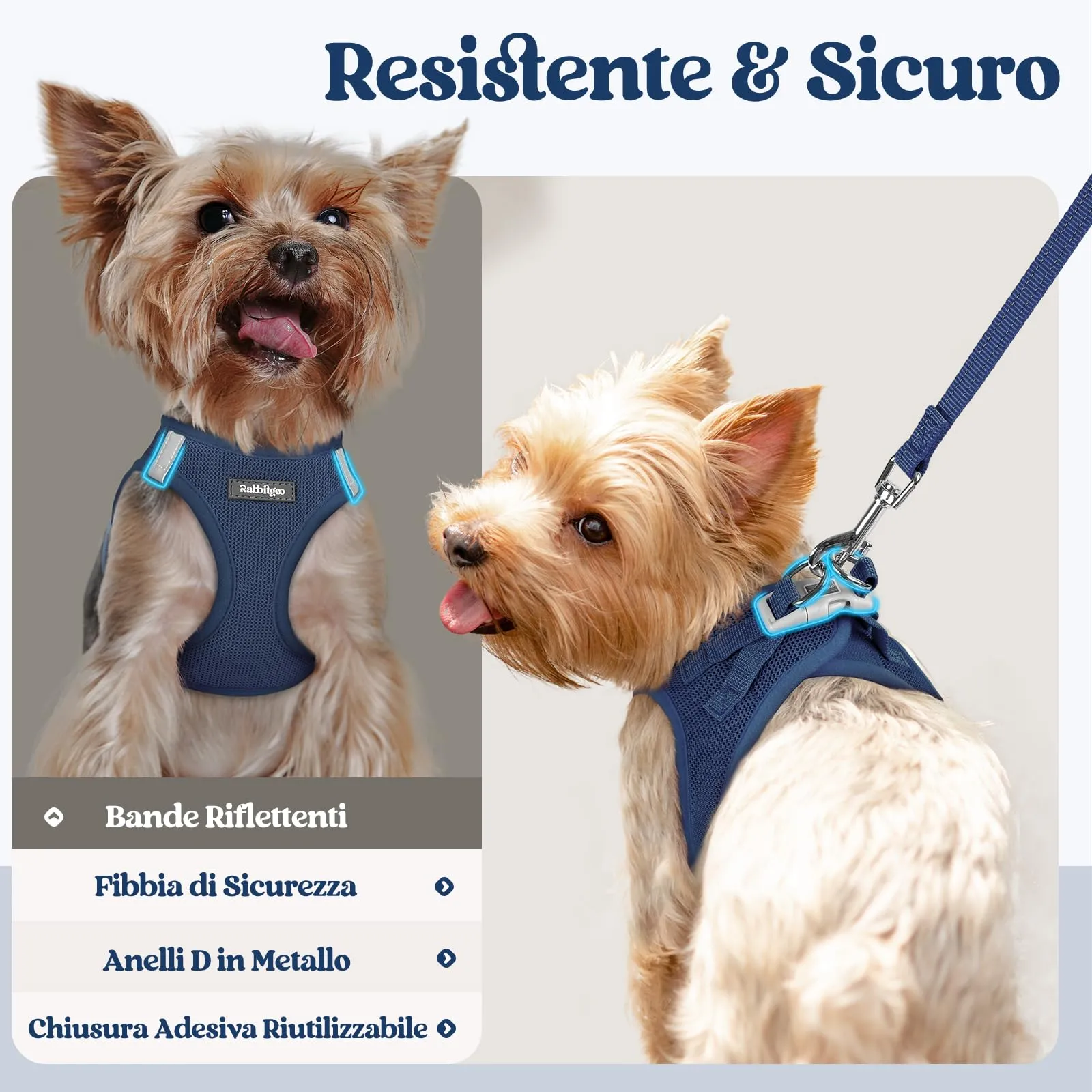 rabbitgoo Pettorina Cane Taglia Piccola con Guinzaglio, Blu Scuro S - immagine 5