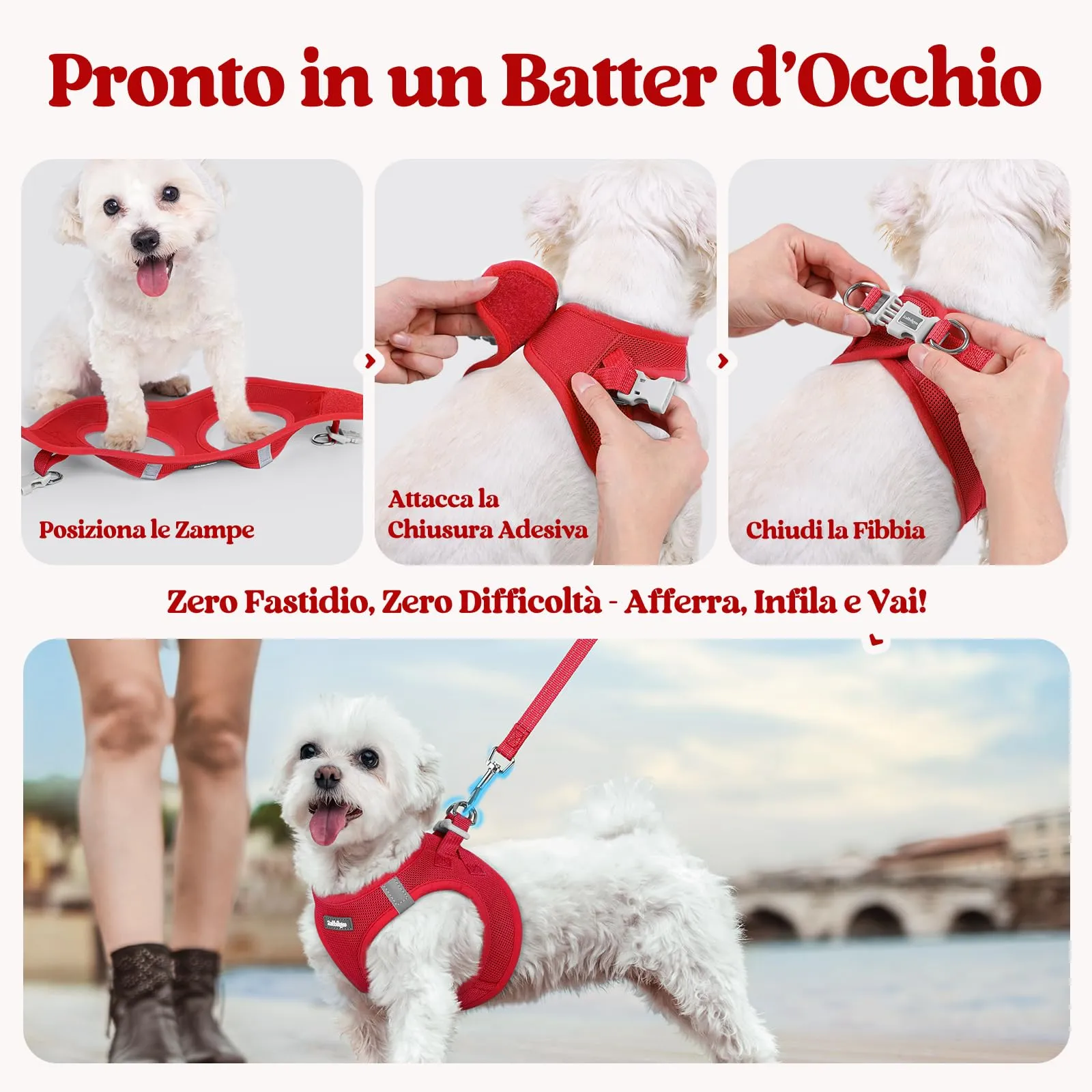 rabbitgoo Pettorina Cane Taglia Piccola con Guinzaglio, Rosso M - immagine 8