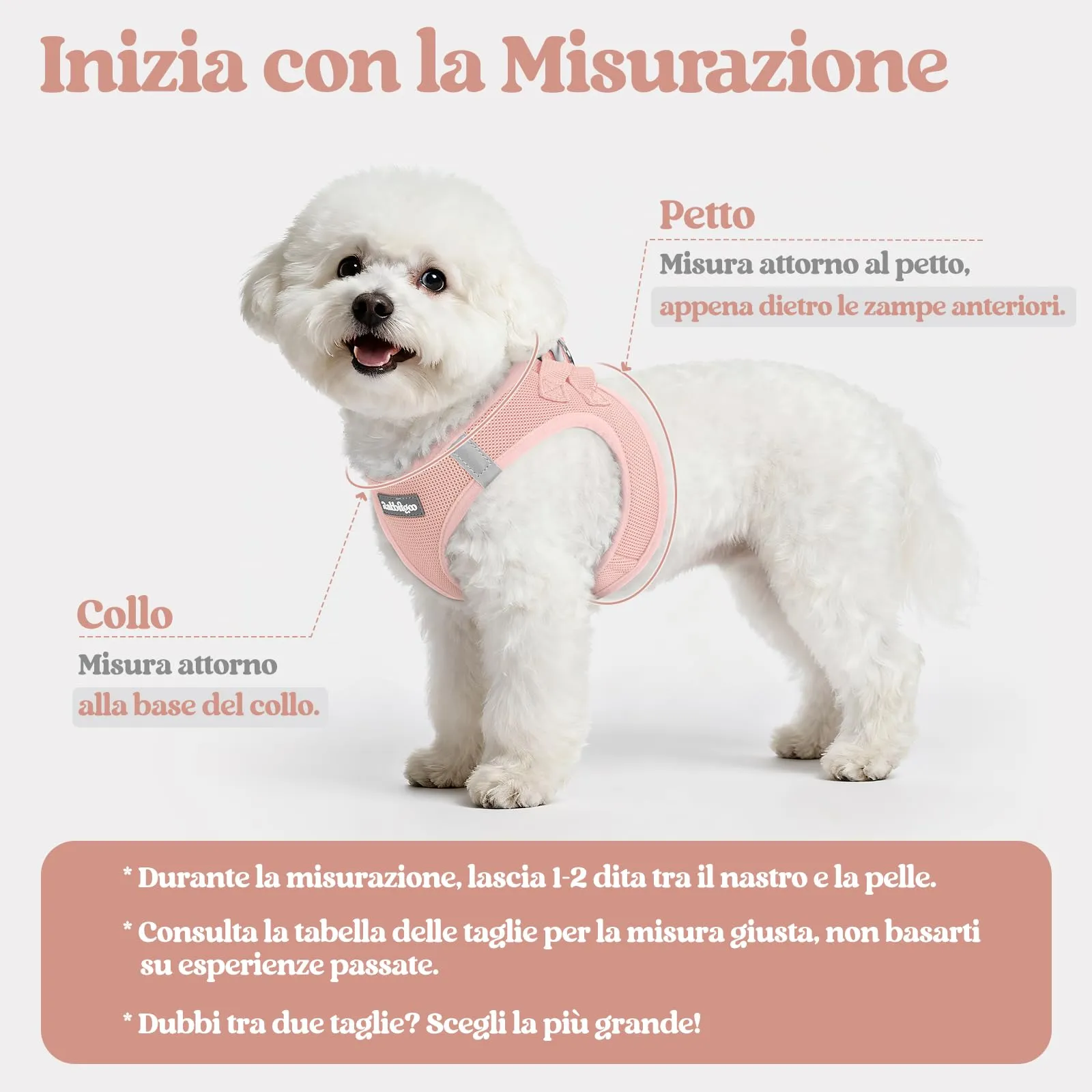 rabbitgoo Pettorina Cane Taglia Piccola con Guinzaglio, Rosa Chiaro S - immagine 2
