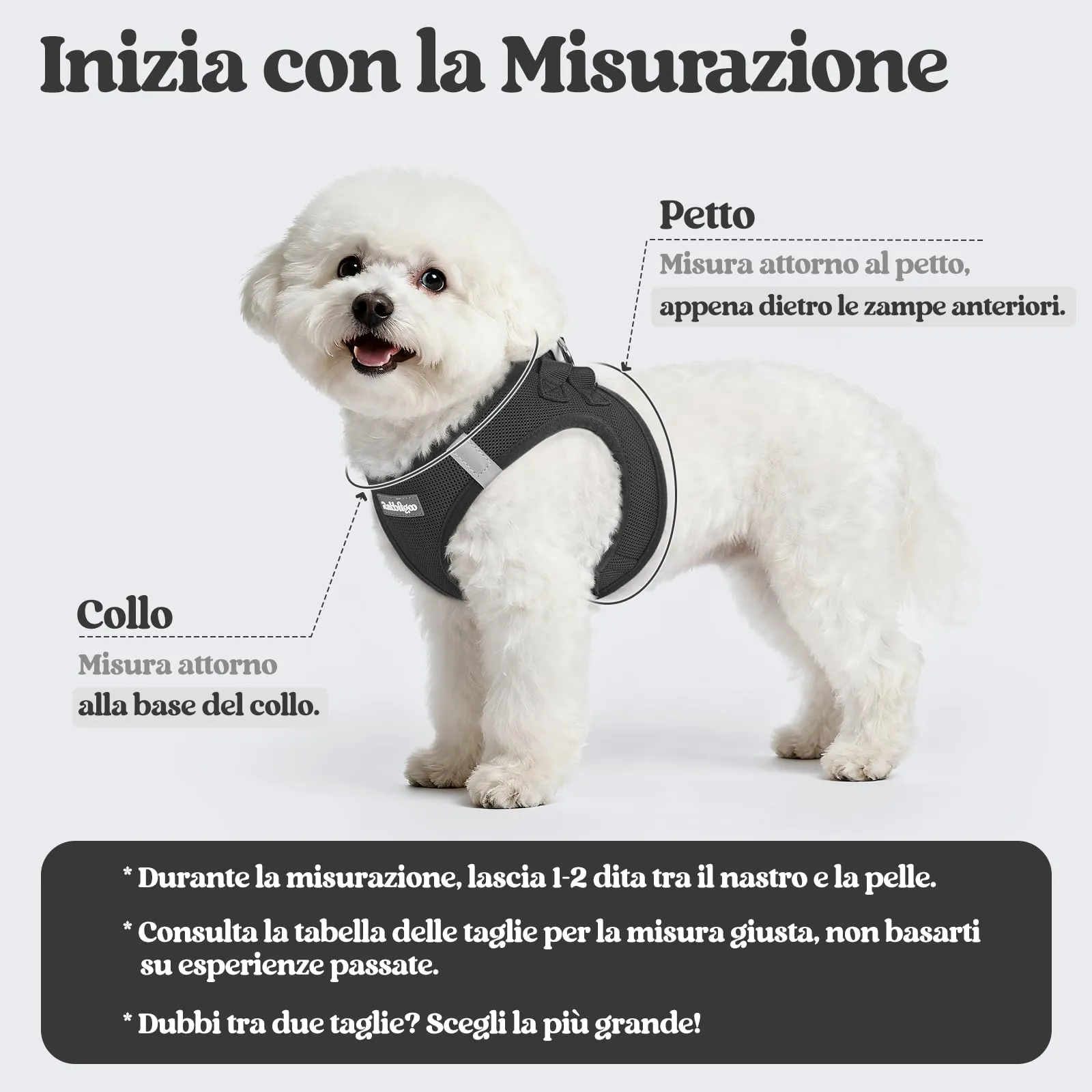 rabbitgoo Pettorina Cane Taglia Piccola con Guinzaglio, Nero L - immagine 2