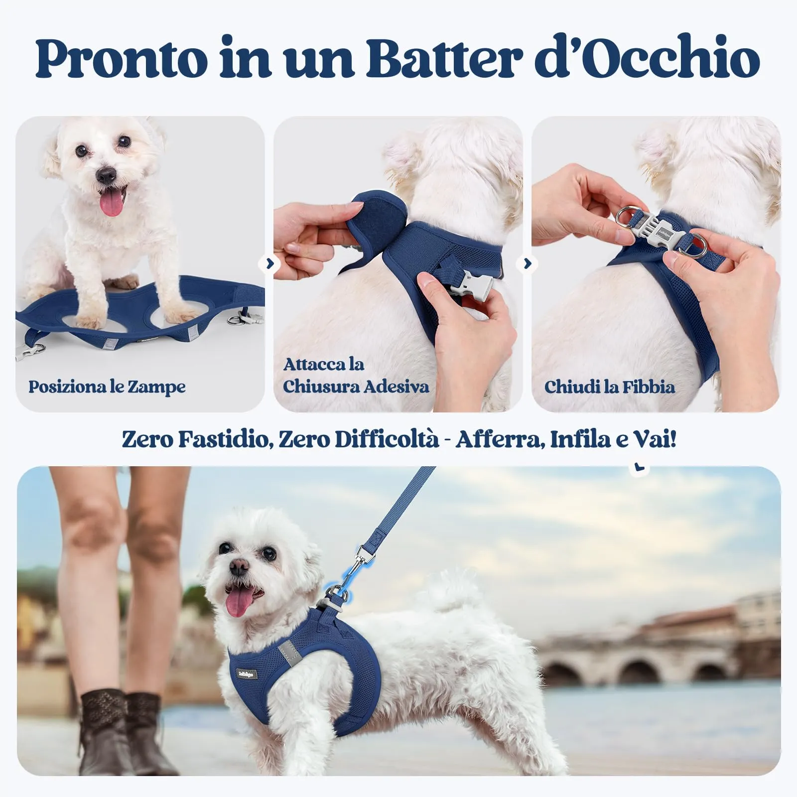rabbitgoo Pettorina Cane Taglia Piccola con Guinzaglio, Blu Scuro M - immagine 8