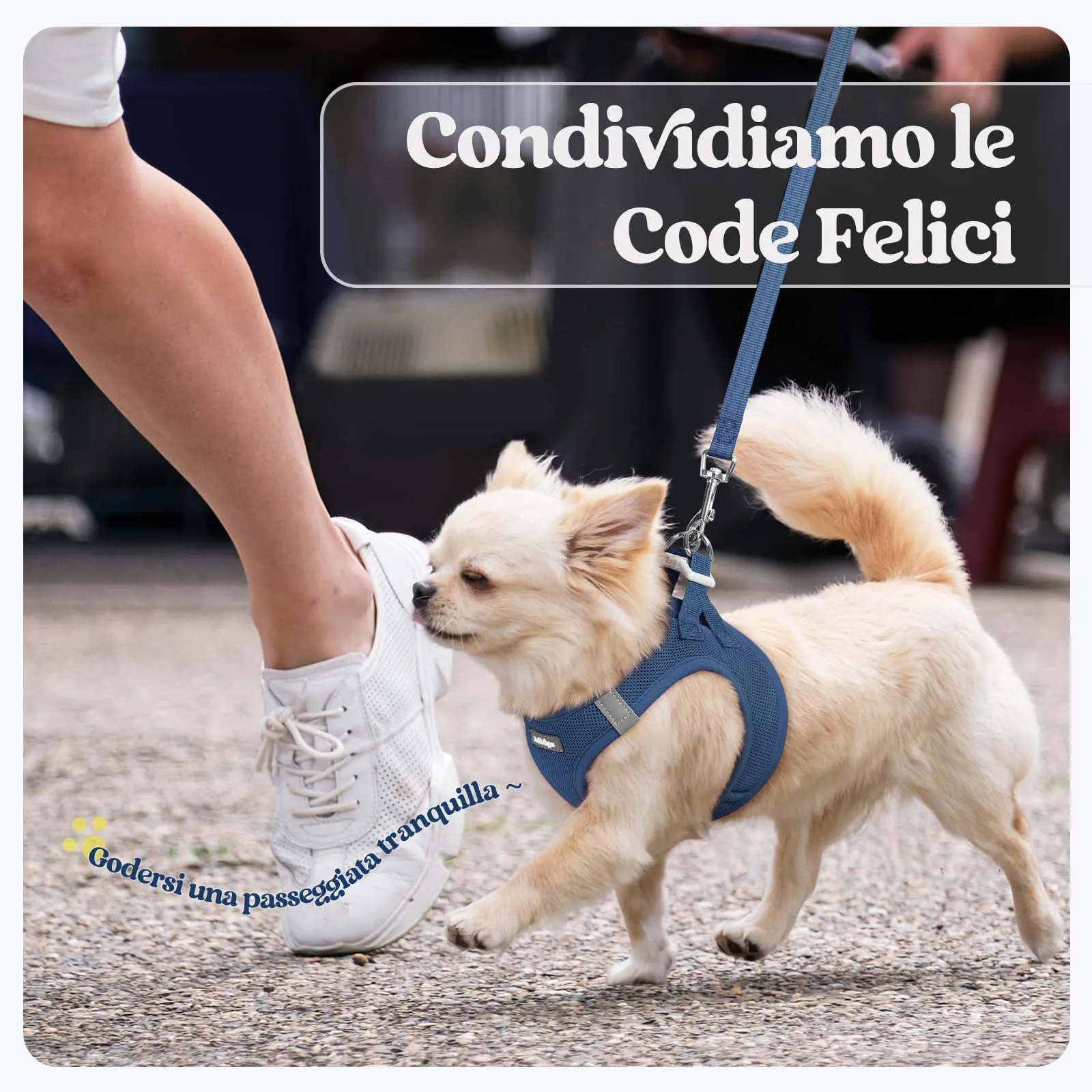 rabbitgoo Pettorina Cane Taglia Piccola con Guinzaglio, Blu Scuro M - immagine 9