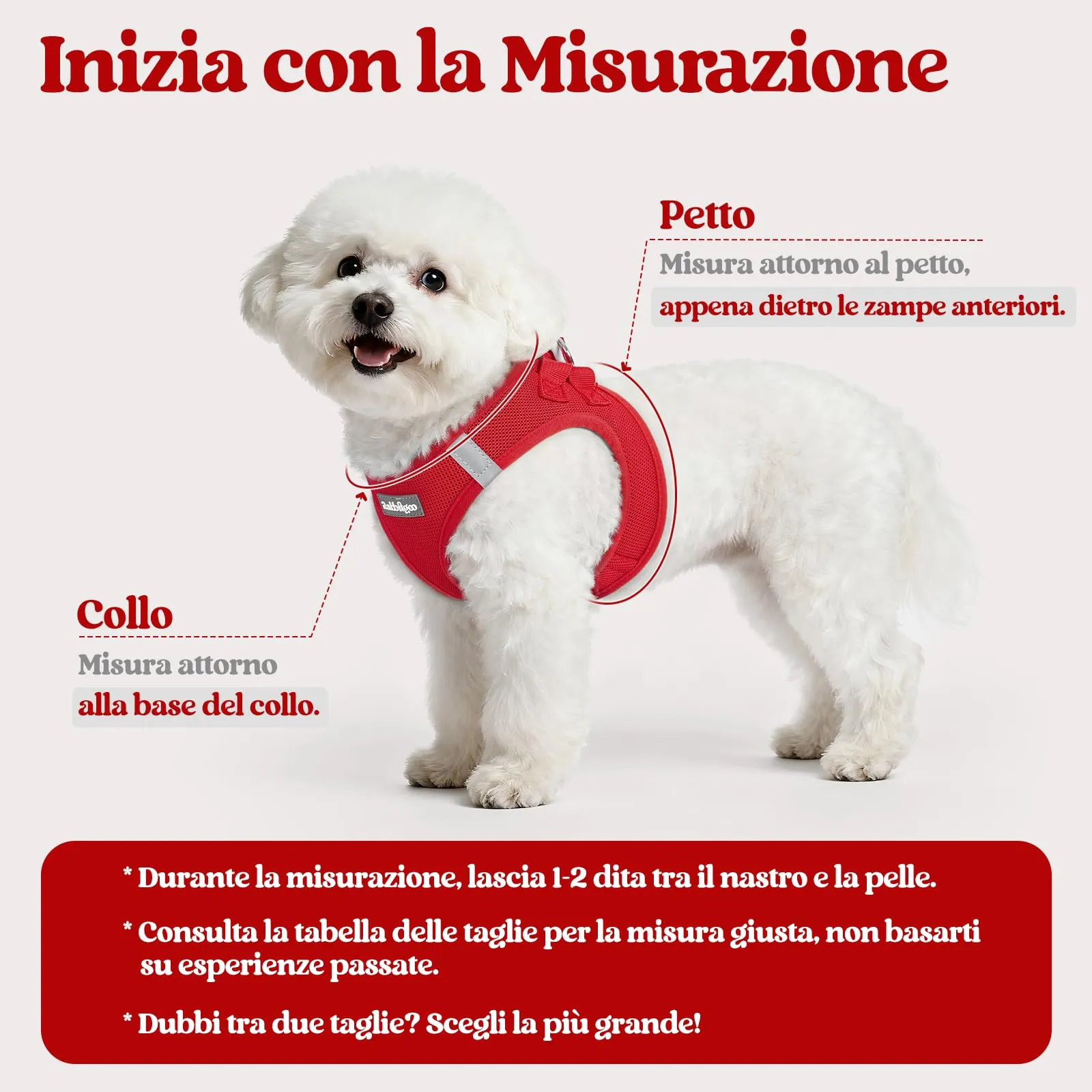 rabbitgoo Pettorina Cane Taglia Piccola con Guinzaglio, Rosso L - immagine 2