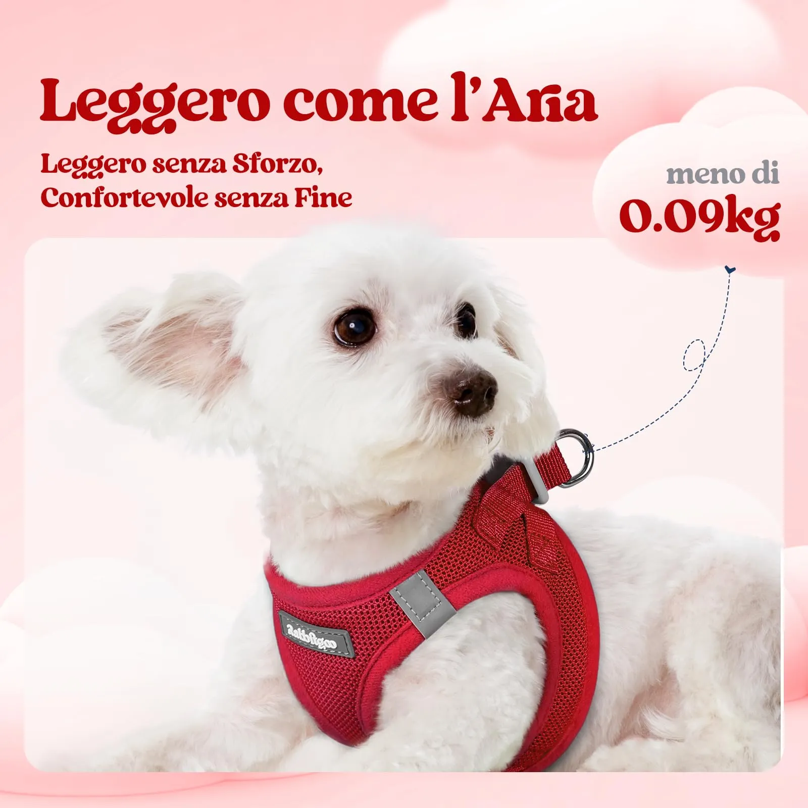 rabbitgoo Pettorina Cane Taglia Piccola con Guinzaglio, Rosso L - immagine 3