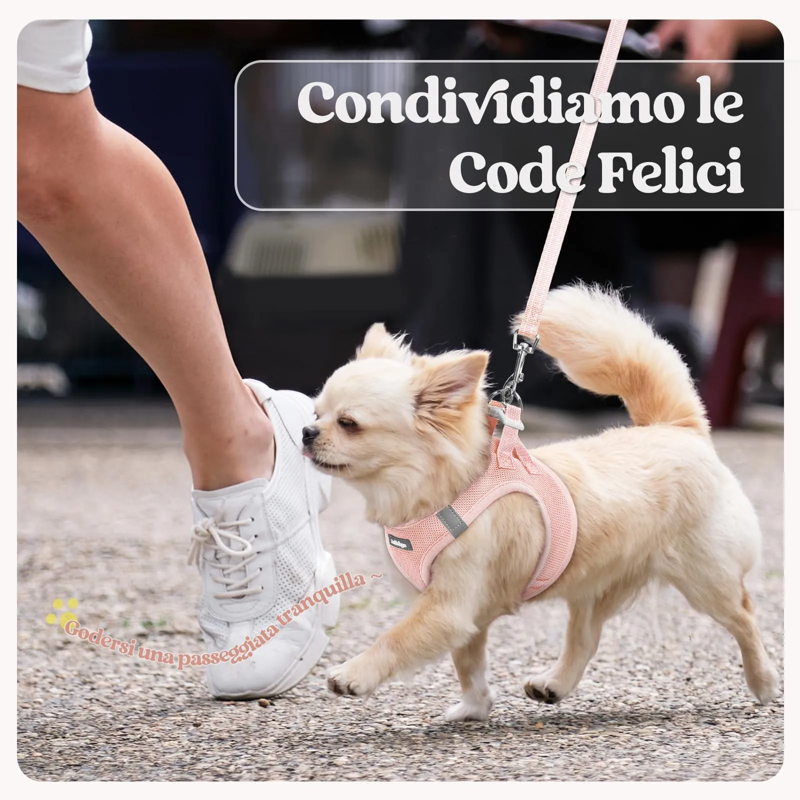 rabbitgoo Pettorina Cane Taglia Piccola con Guinzaglio, Rosa Chiaro M - immagine 9