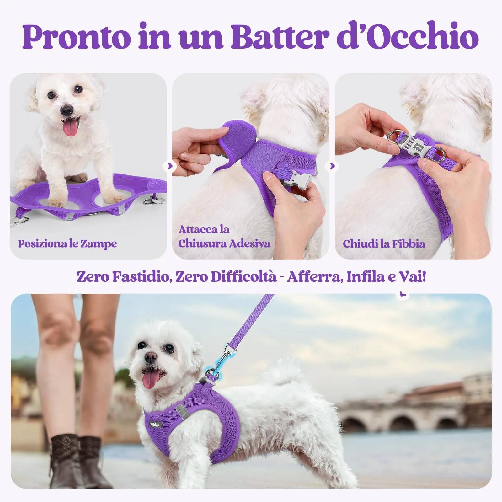 rabbitgoo Pettorina Cane Taglia Piccola con Guinzaglio, Viola S - immagine 8
