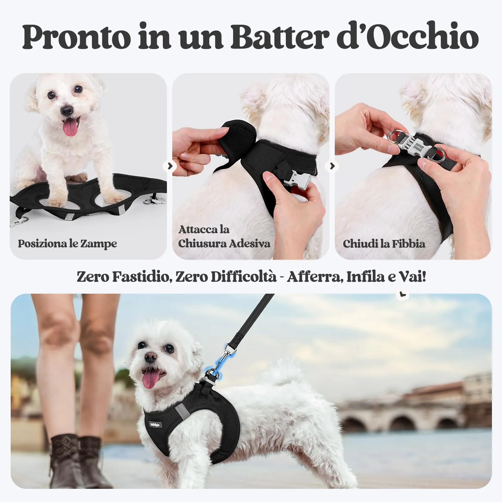 rabbitgoo Pettorina Cane Taglia Piccola con Guinzaglio, Nero S - immagine 8