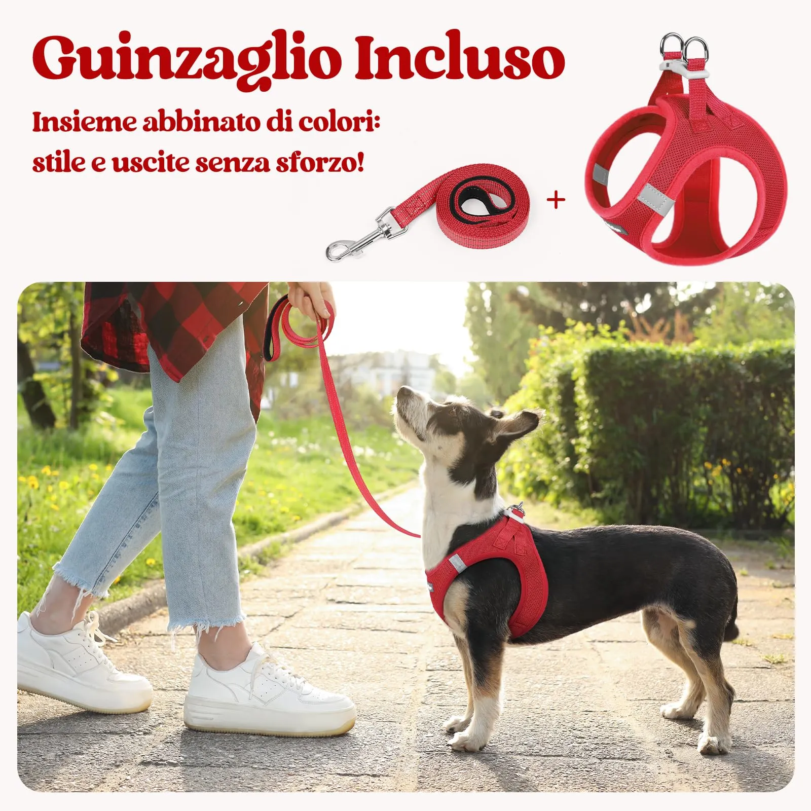 rabbitgoo Pettorina Cane Taglia Piccola con Guinzaglio, Rosso S - immagine 6