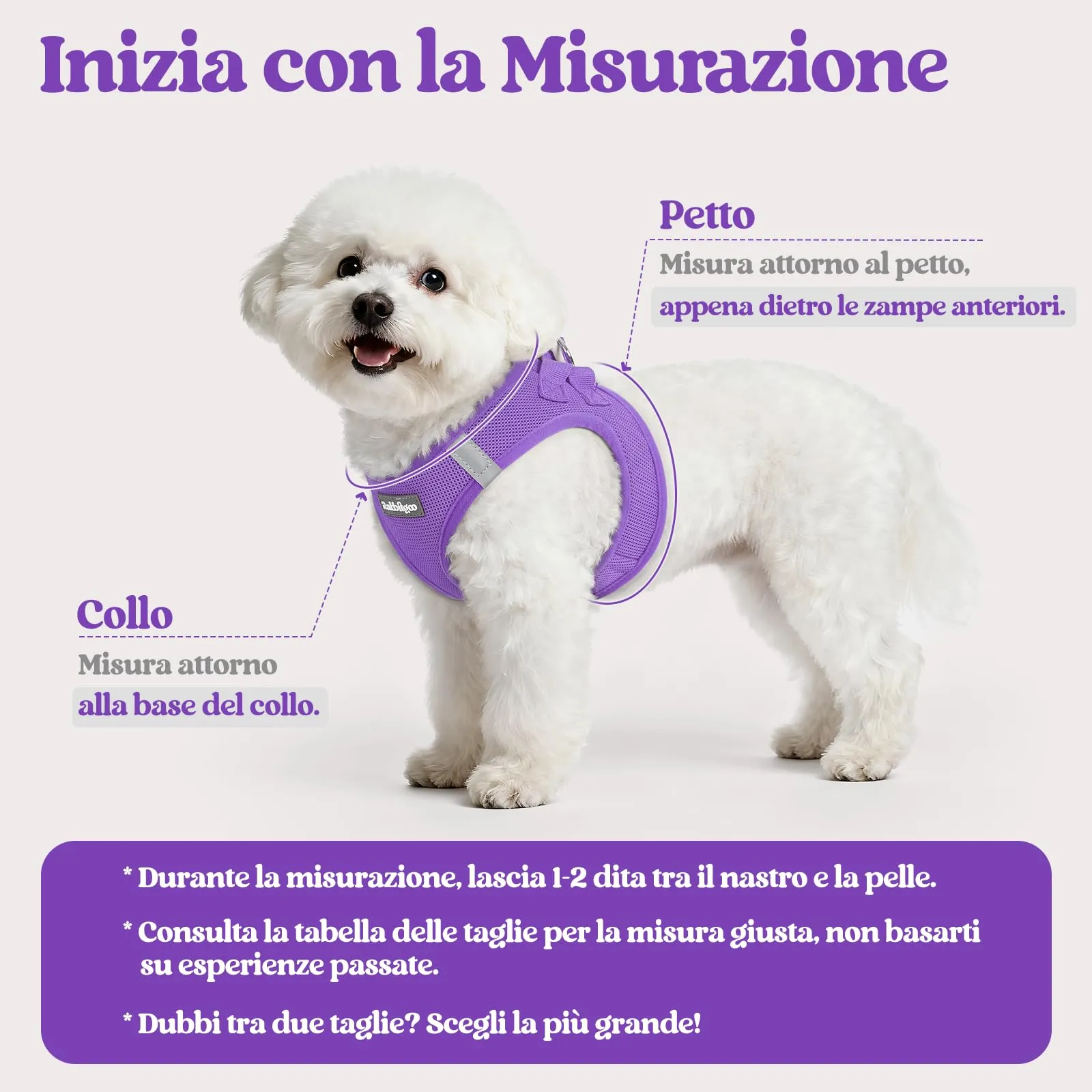 rabbitgoo Pettorina Cane Taglia Piccola con Guinzaglio, Viola XS - immagine 2