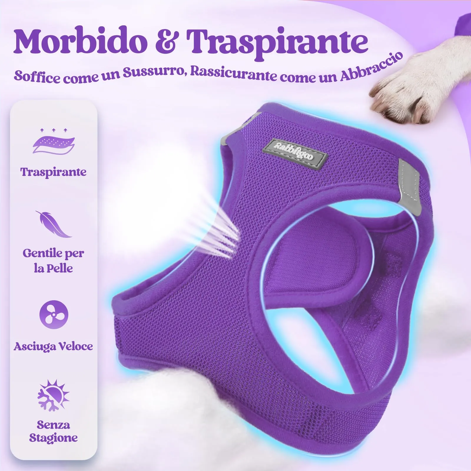 rabbitgoo Pettorina Cane Taglia Piccola con Guinzaglio, Viola M - immagine 4
