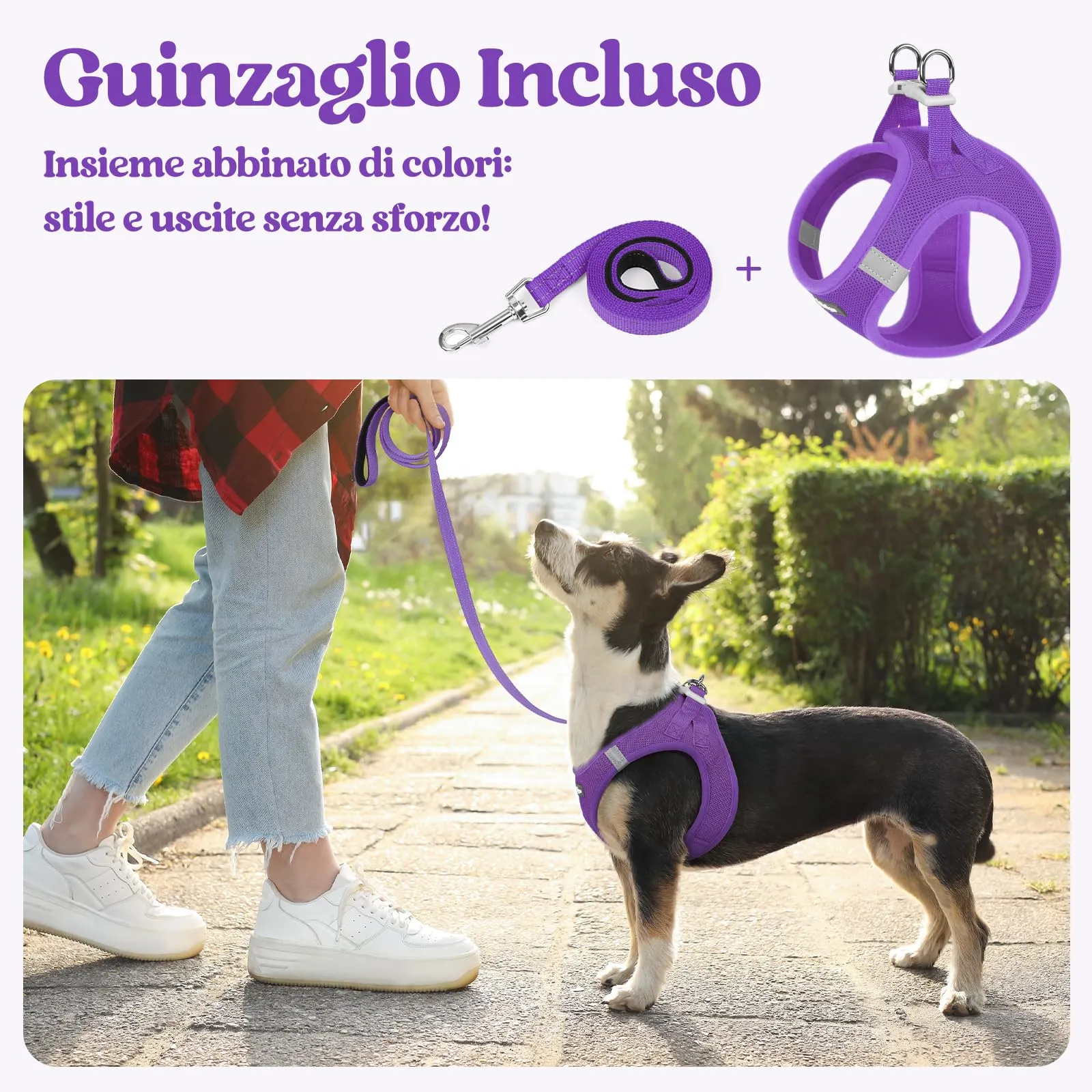 rabbitgoo Pettorina Cane Taglia Piccola con Guinzaglio, Viola M - immagine 6