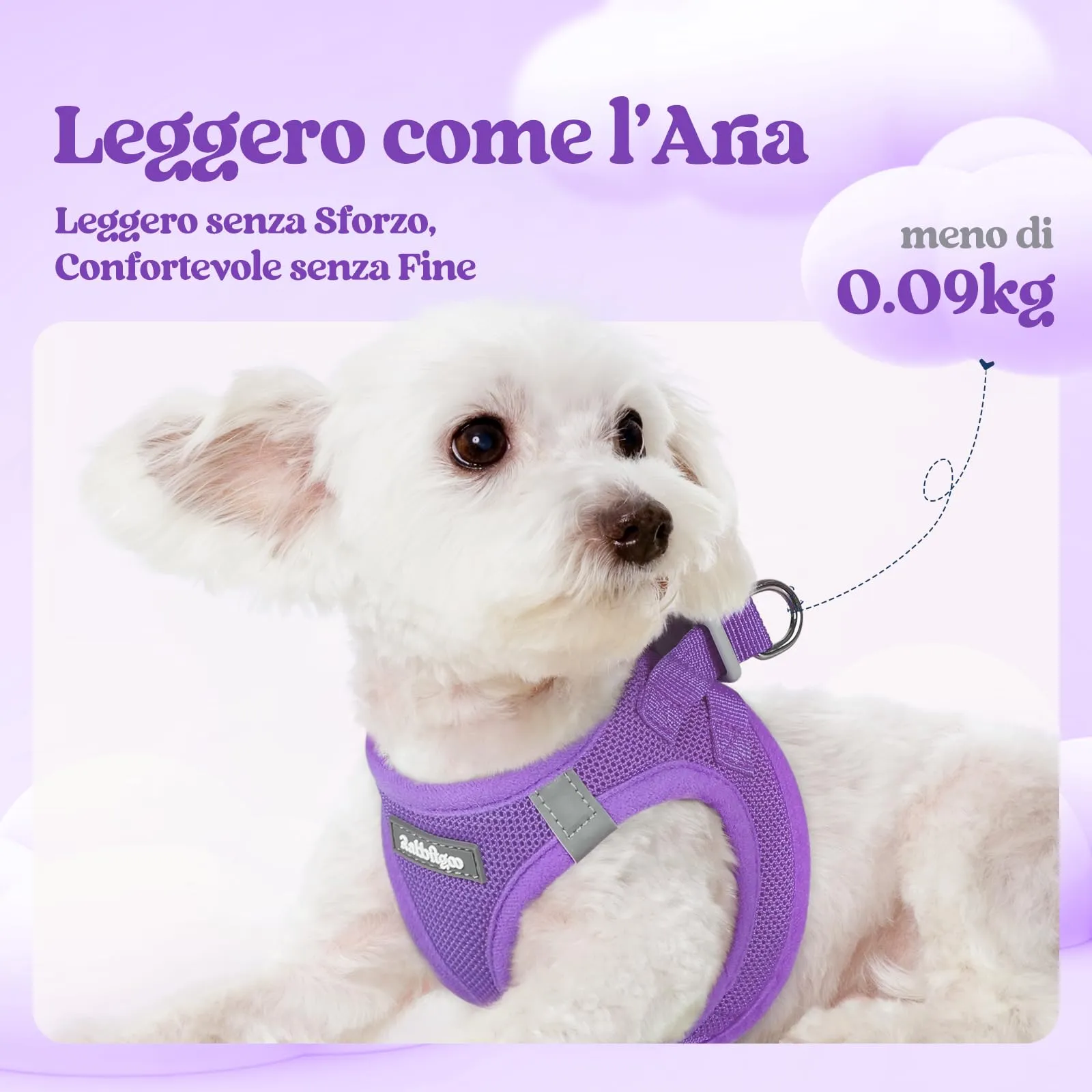 rabbitgoo Pettorina Cane Taglia Piccola con Guinzaglio, Viola L - immagine 3