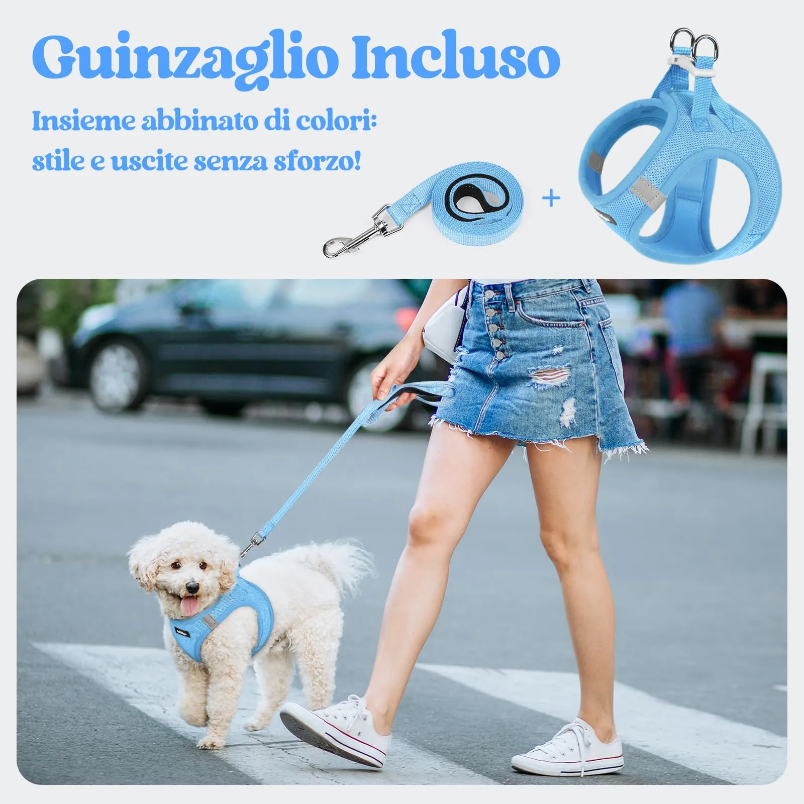 rabbitgoo Pettorina Cane Taglia Piccola con Guinzaglio, Azzuro M - immagine 6