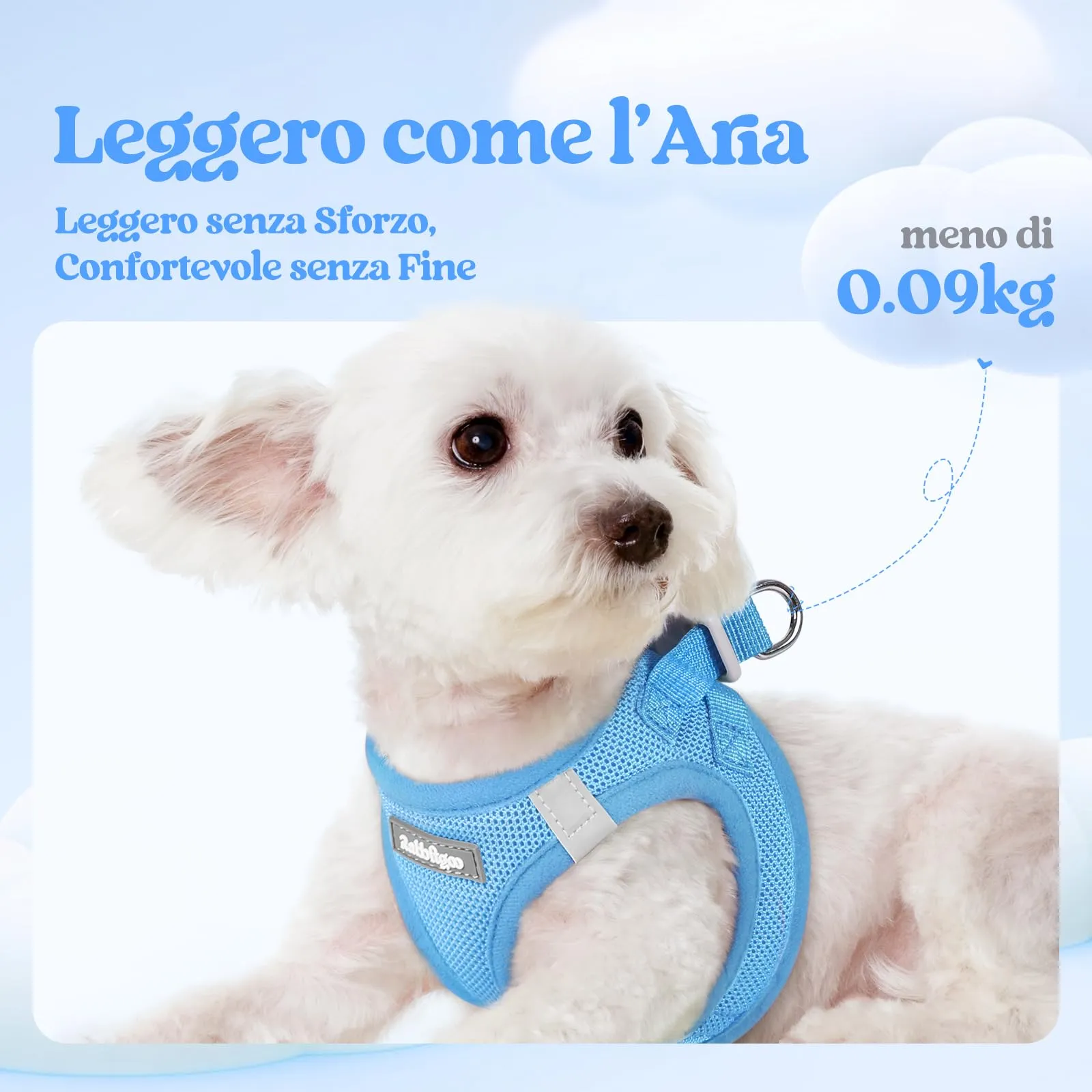 rabbitgoo Pettorina Cane Taglia Piccola con Guinzaglio, Azzuro S - immagine 3