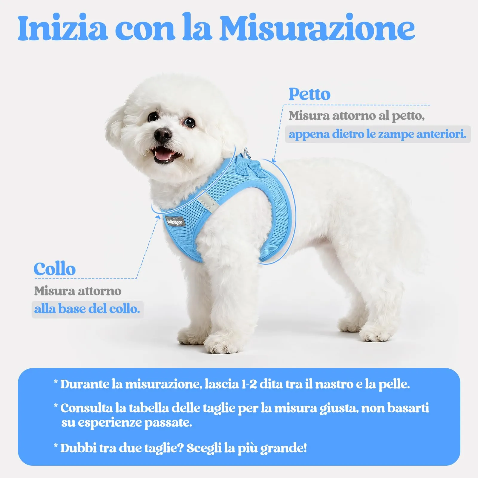 rabbitgoo Pettorina Cane Taglia Piccola con Guinzaglio, Azzuro L - immagine 2