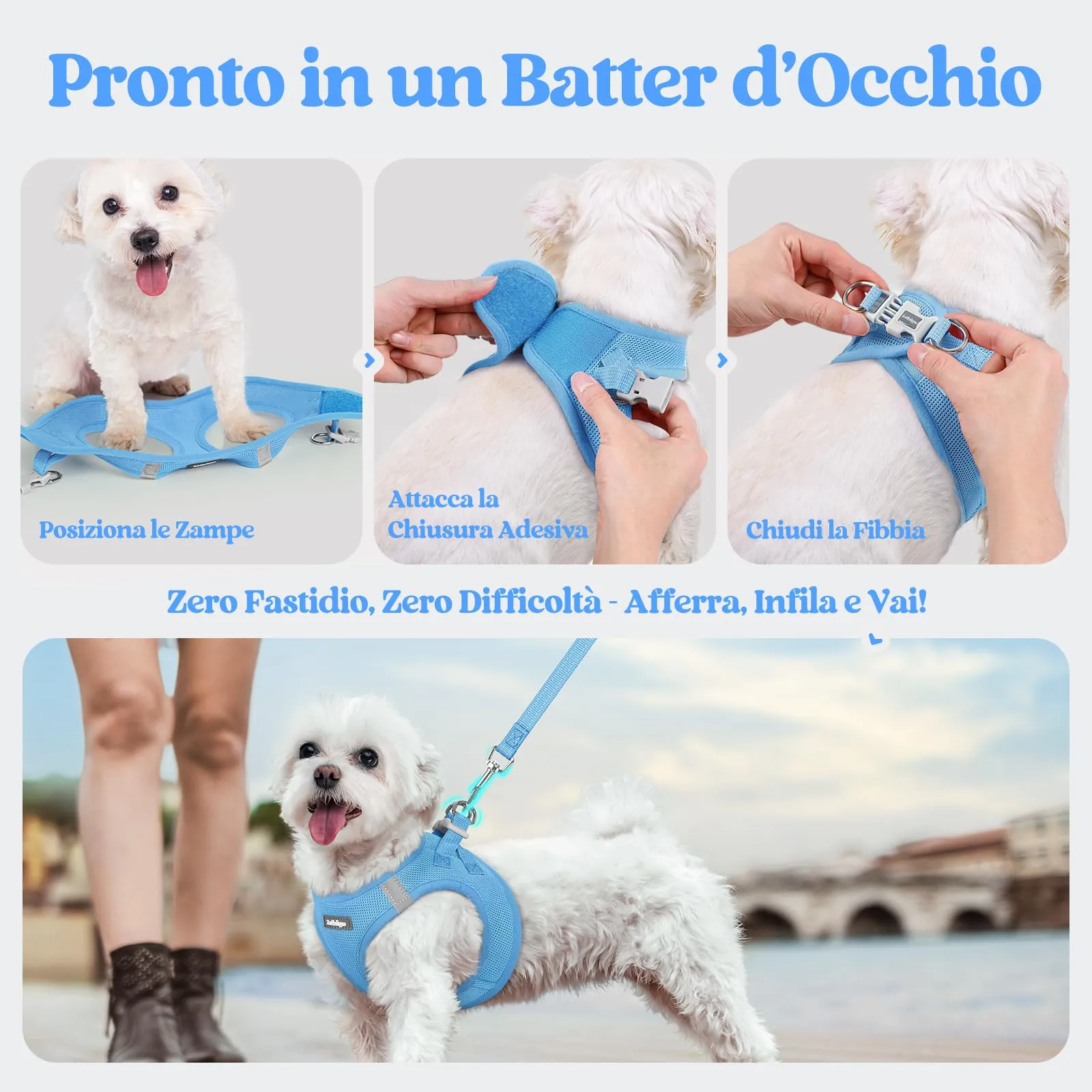 rabbitgoo Pettorina Cane Taglia Piccola con Guinzaglio, Azzuro L - immagine 8